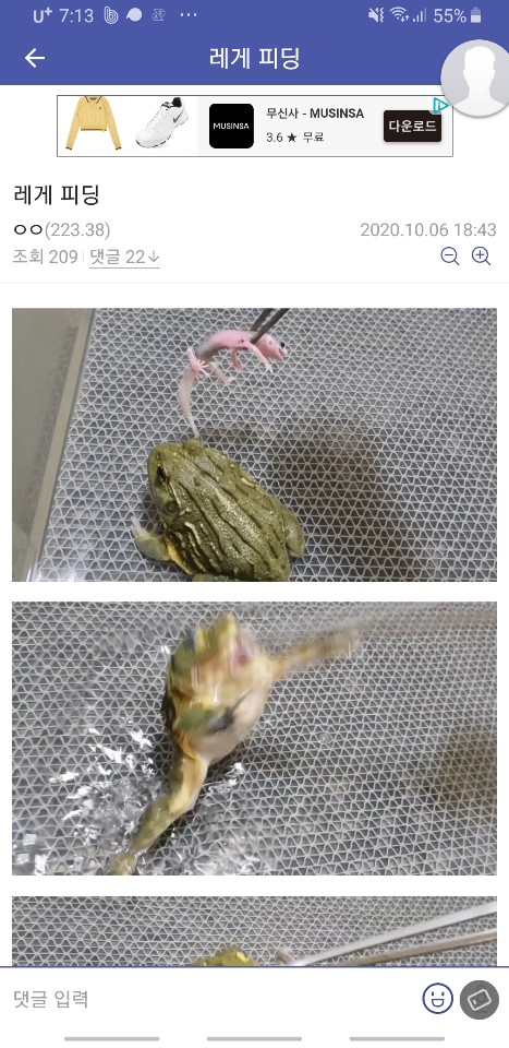 파충류를 개구리 먹이로 급여했습니다.