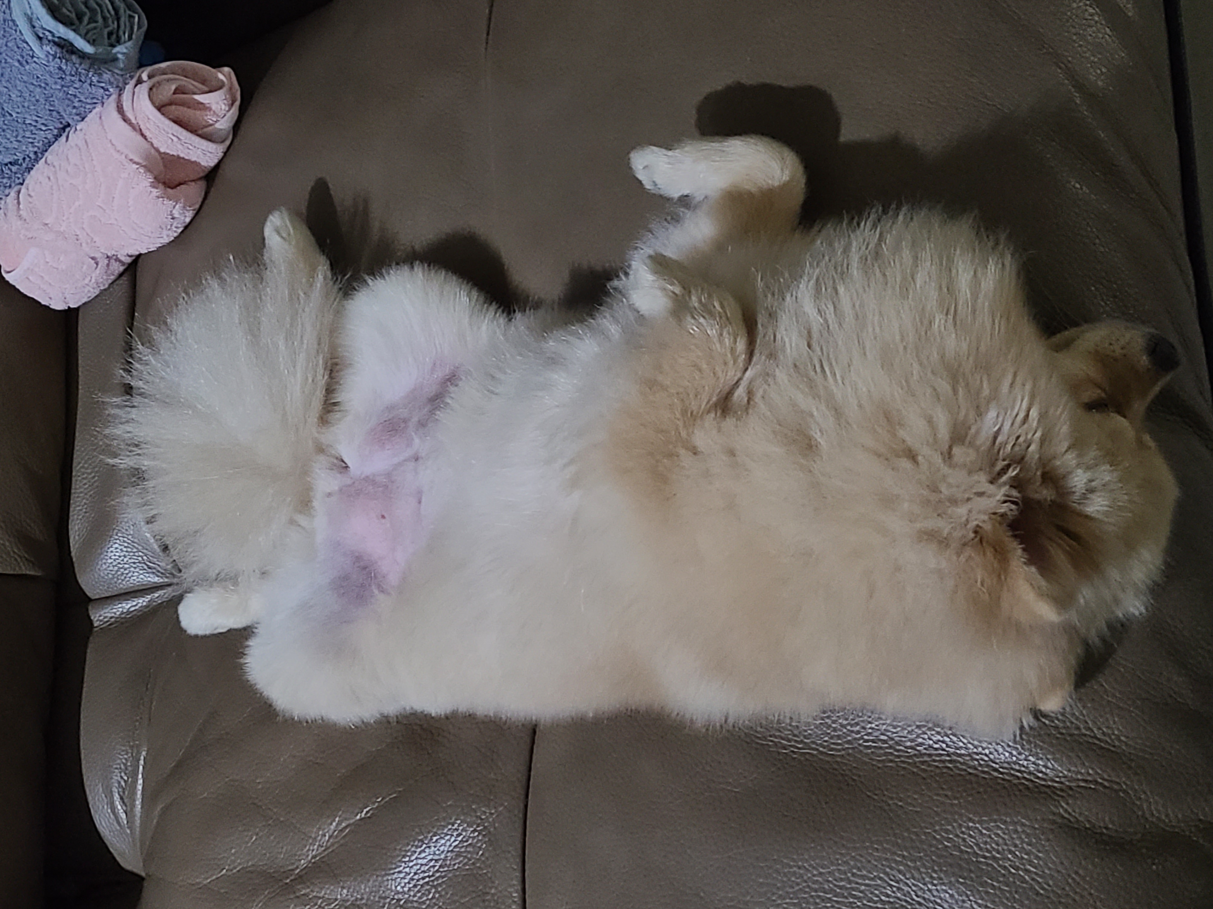 루이야 사랑해