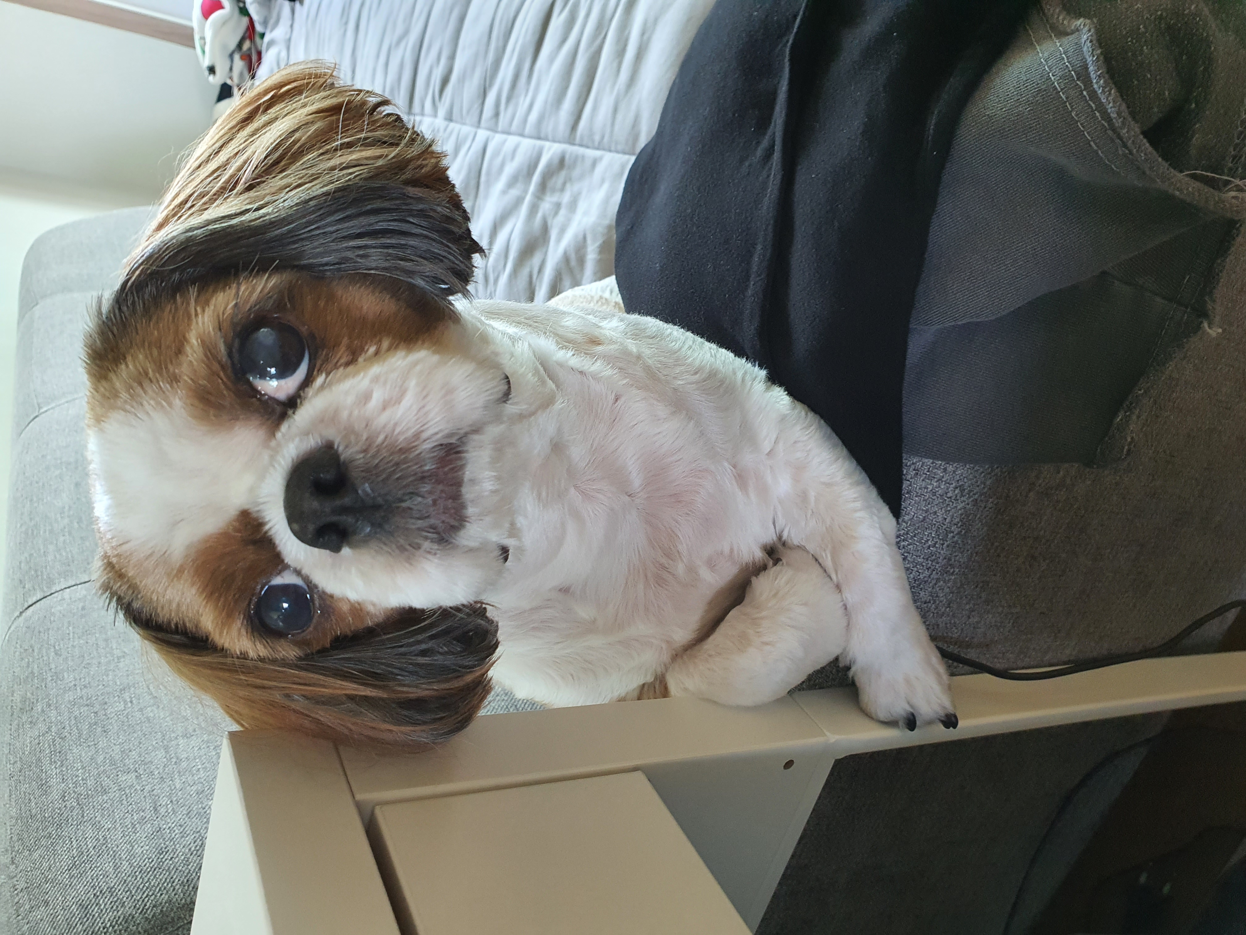 뭉치