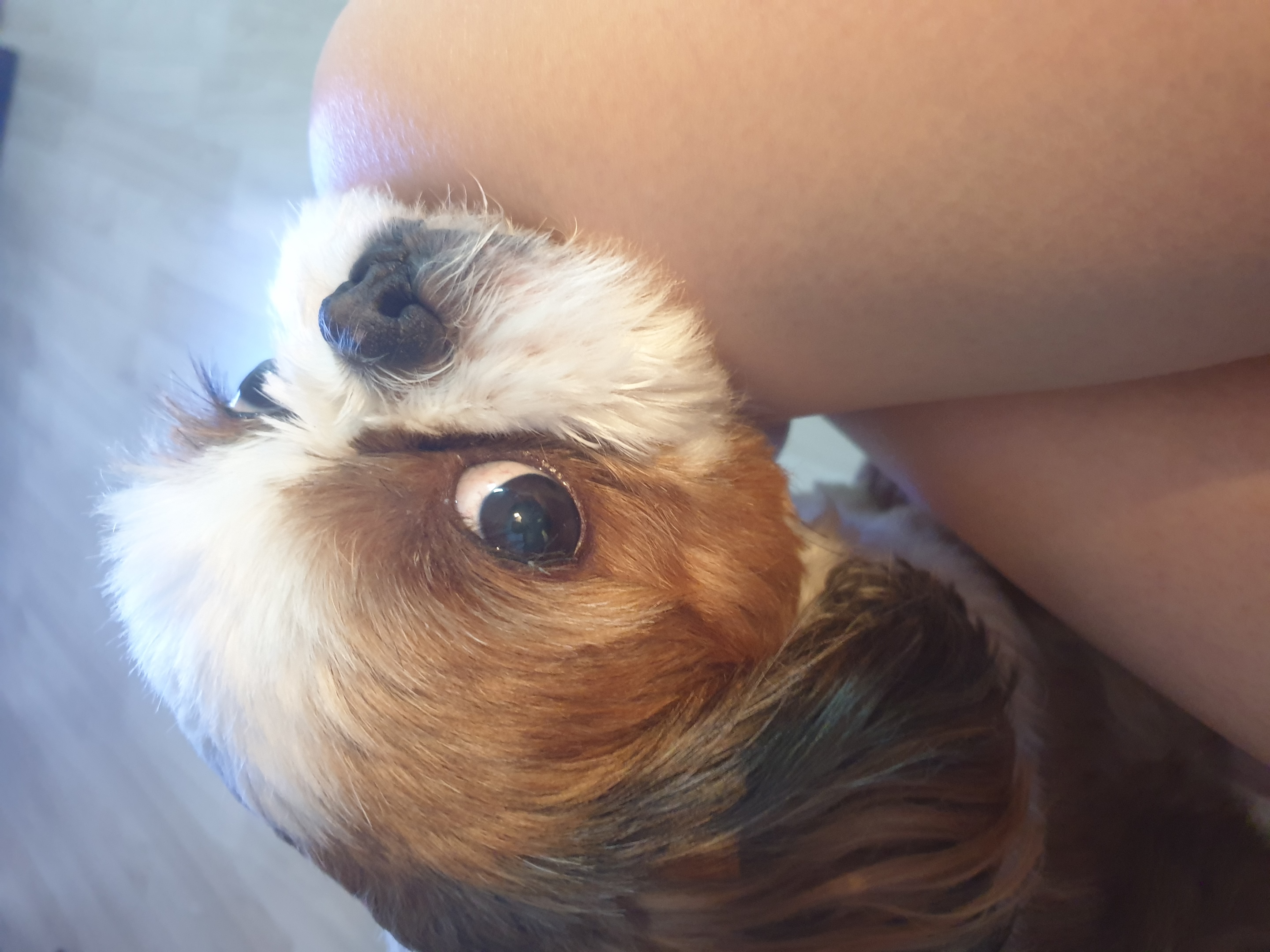 뭉치