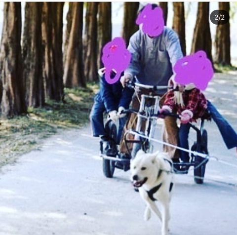 인스타 인증샷 성지, 안성개농장