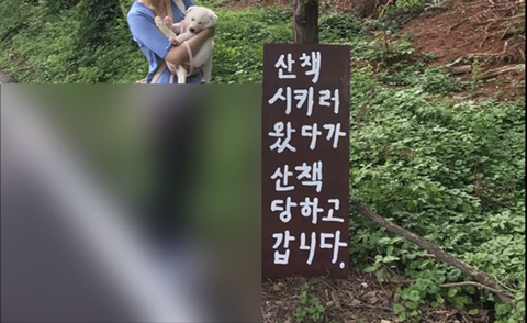 인스타 인증샷 성지, 안성개농장