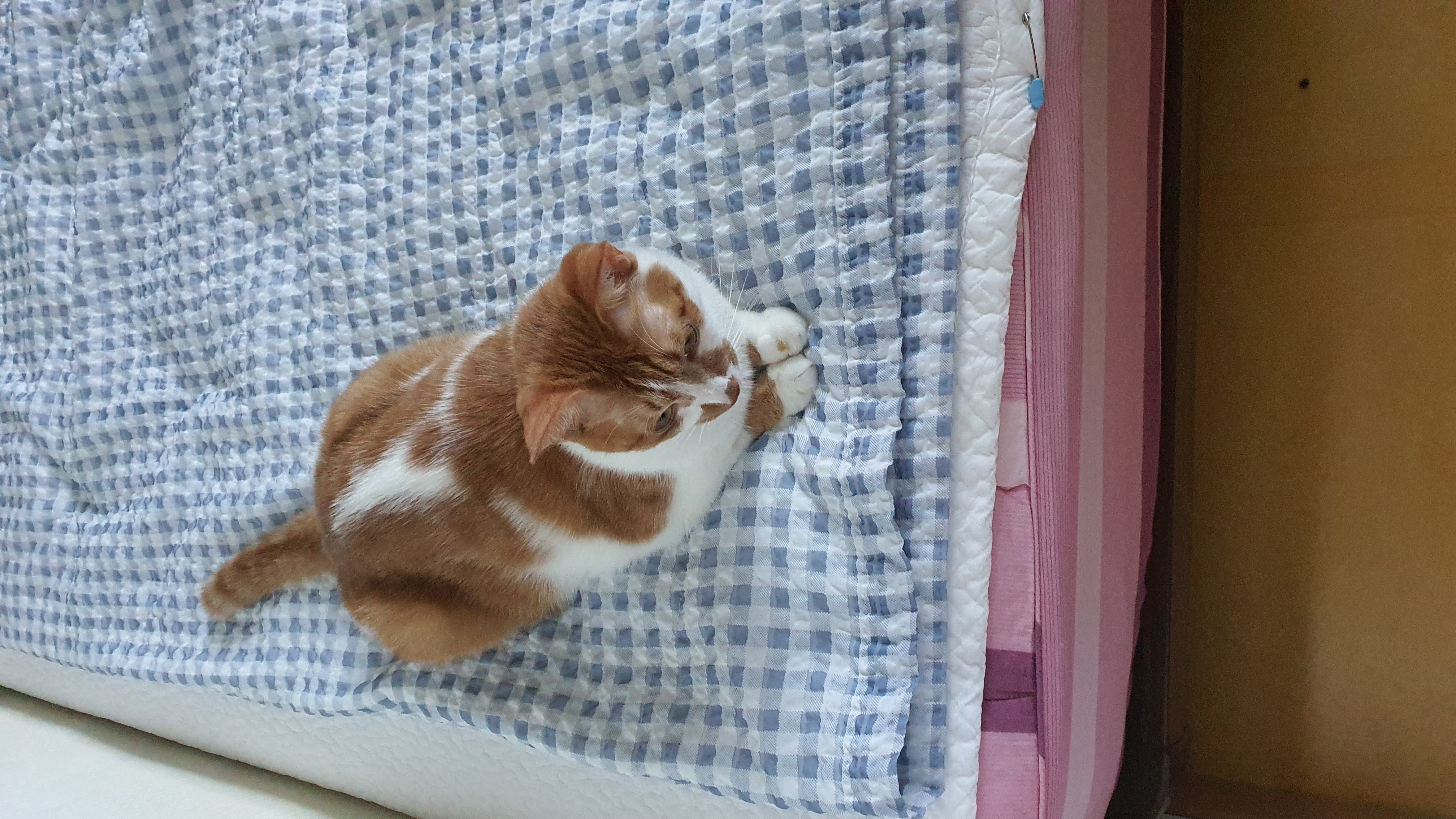다빈이 이제 3년