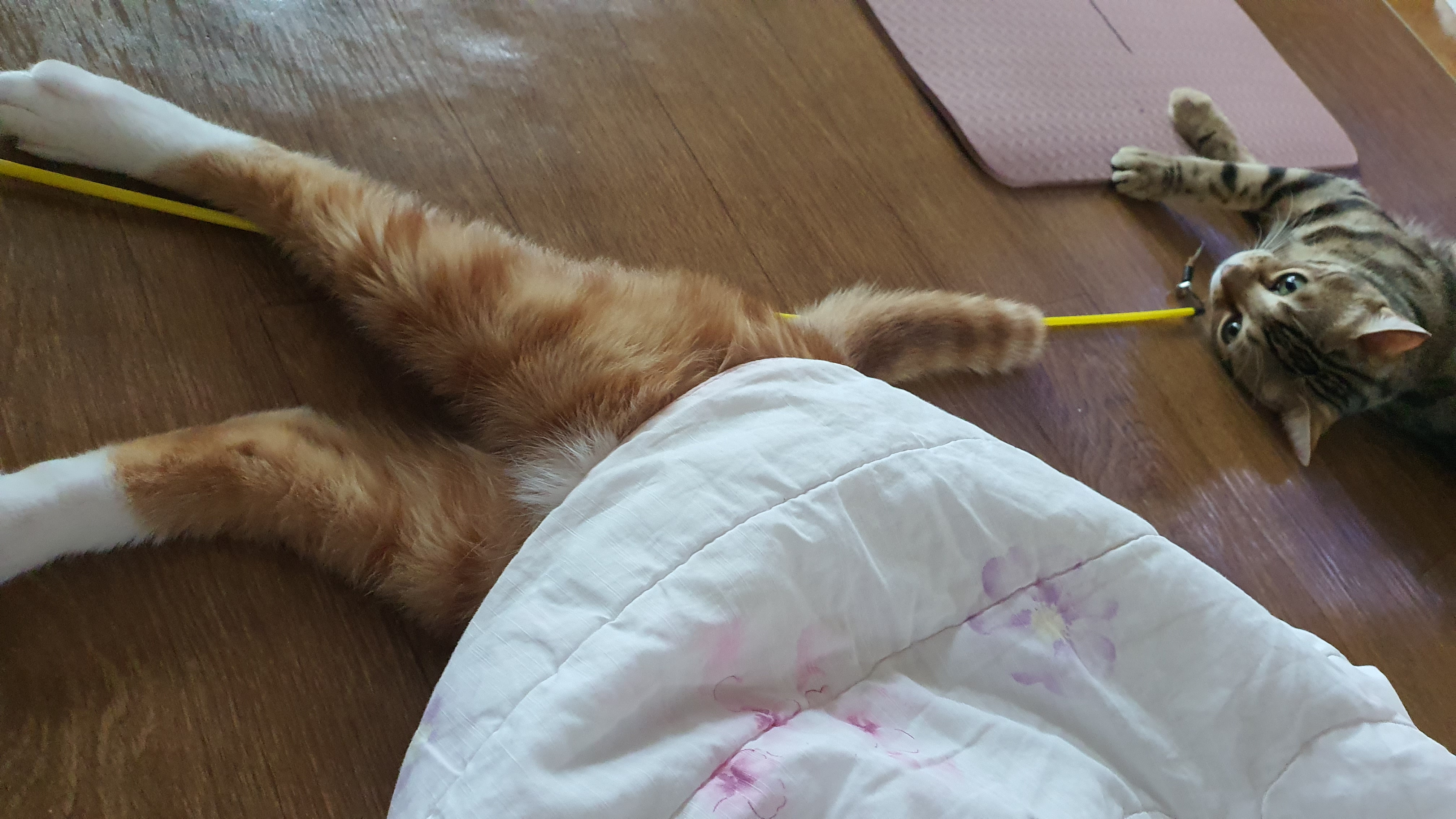 다빈이 이제 3년
