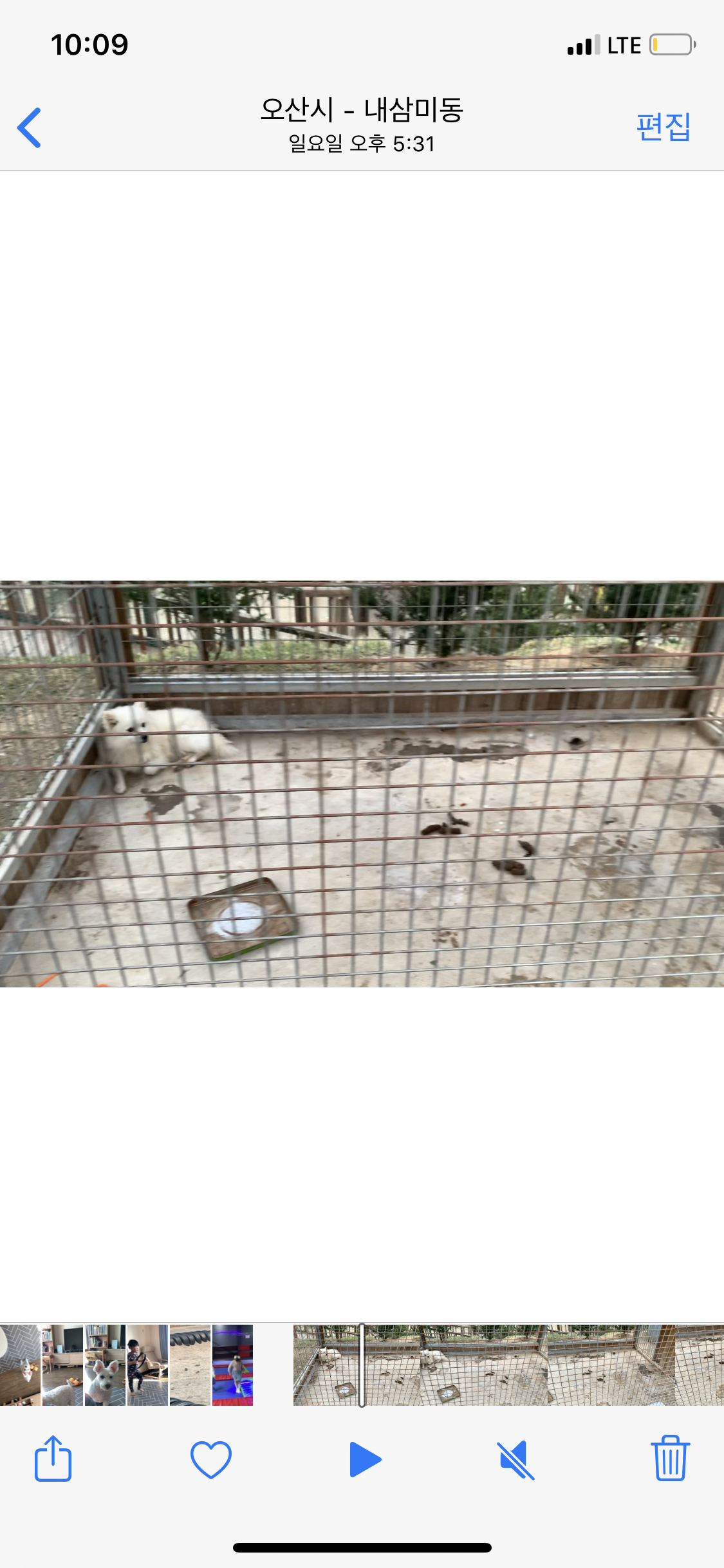 오산 별빛 바베큐장 동물원
