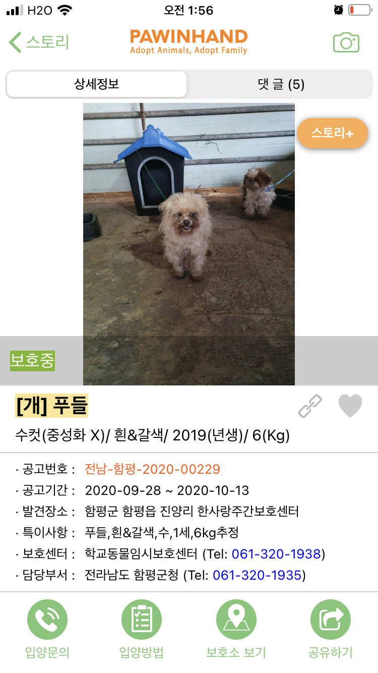 [긴급[ 오늘 내일 죽어요 안락사된다고 합니다.