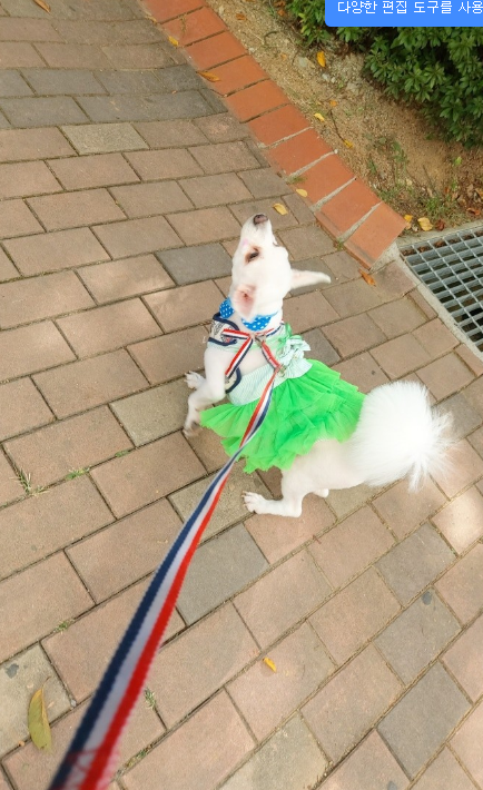커피,라떼에요~