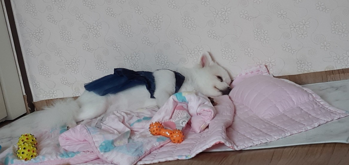 커피,라떼에요~