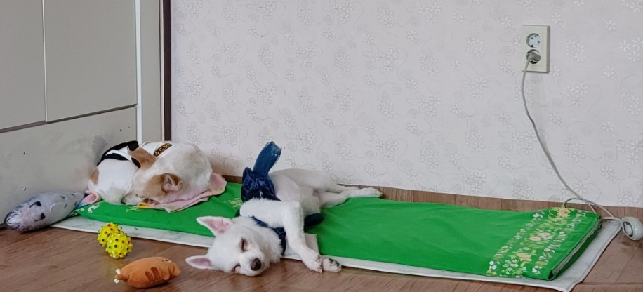 커피,라떼에요~