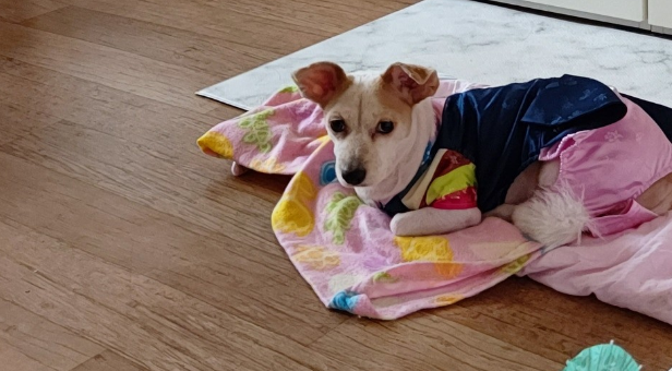 커피,라떼에요~