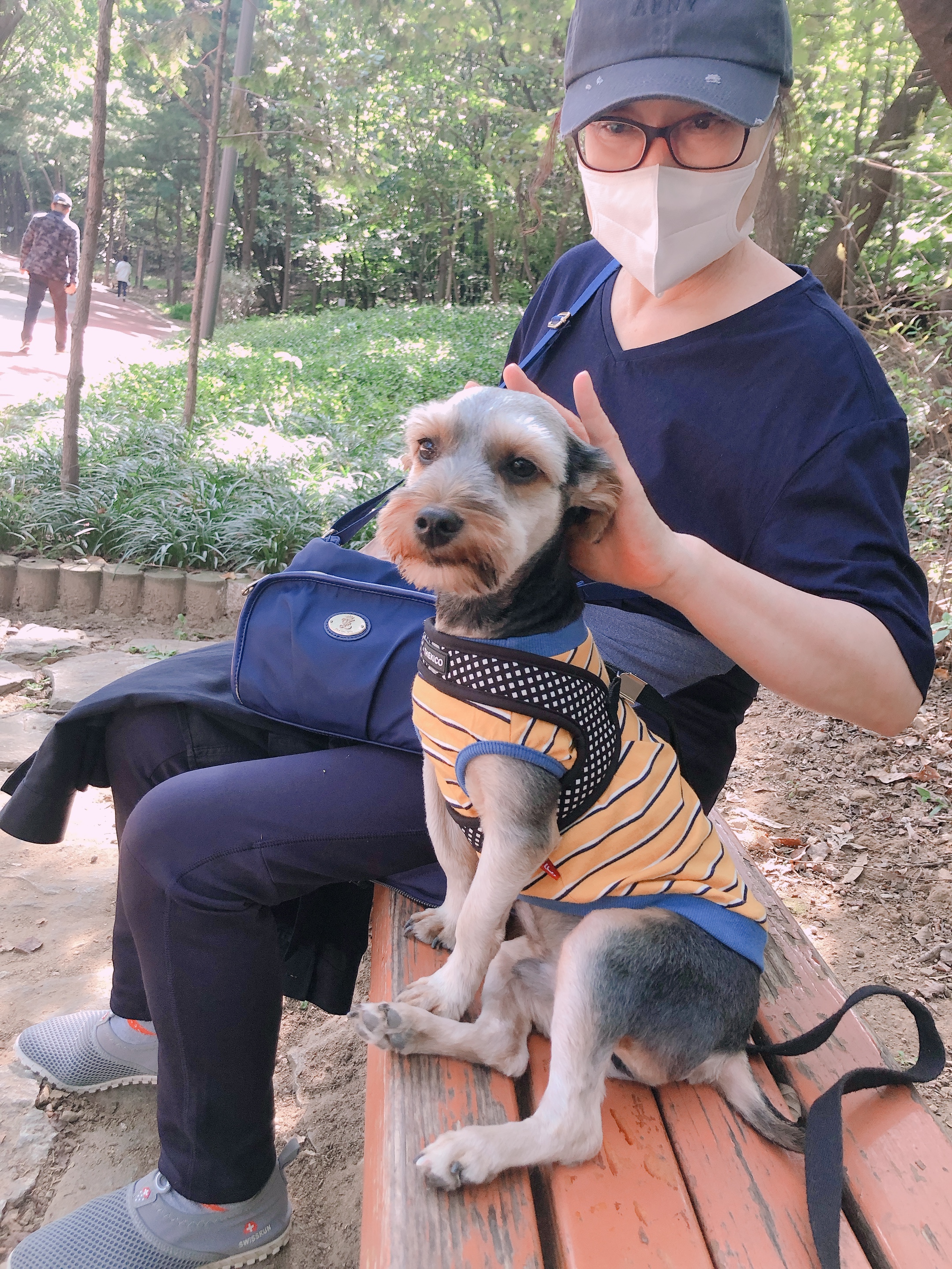 구)해피 몽구 소식