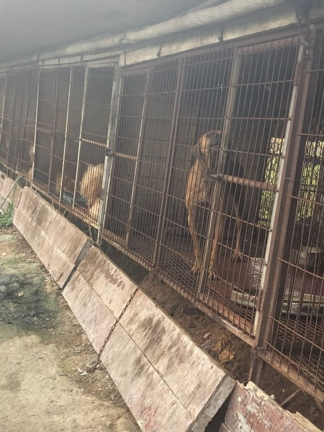 영천시 개농장 고발합니다!!!