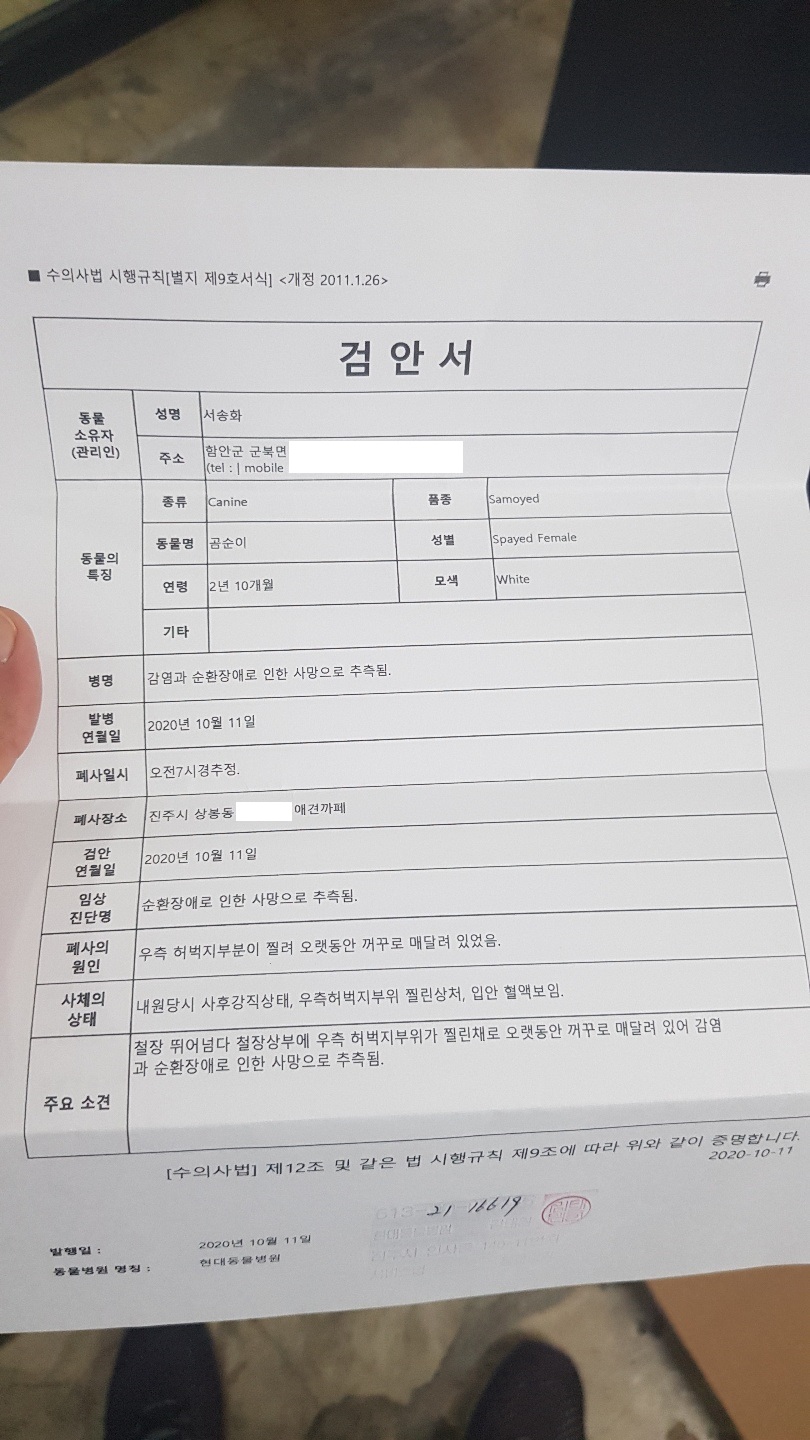 경남 진주 상봉동 소재 애견미용호텔 사장의 무관심과 방치 및 학대로 인해 쇠창살에 찔려 14시간 이상 동안 거꾸로 매달린채 죽은 반려견