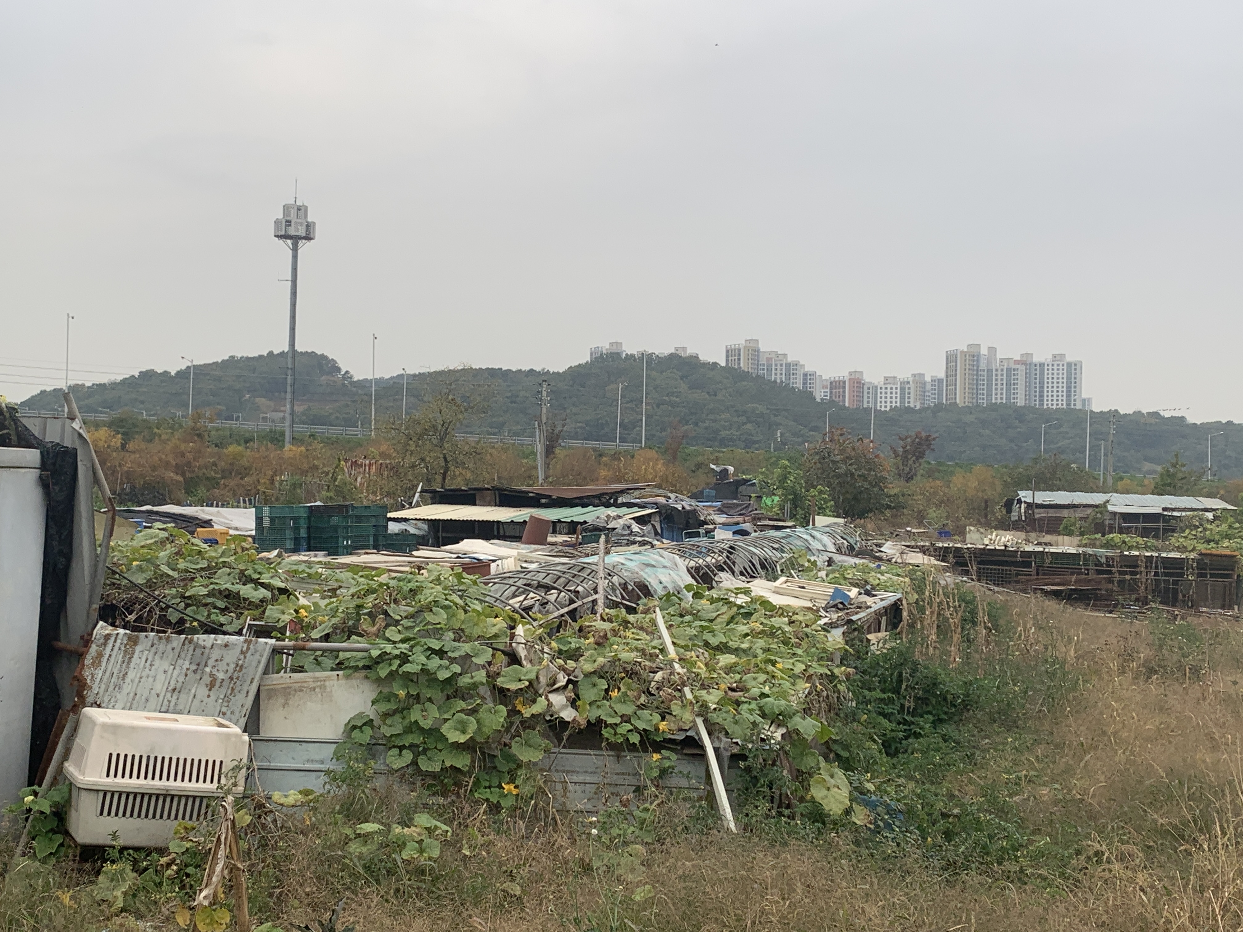 개농장 신고했는데 그대로 운영되고 있네요..ㅜㅜ