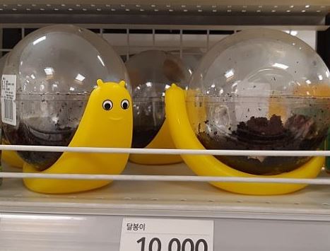 제보드립니다.