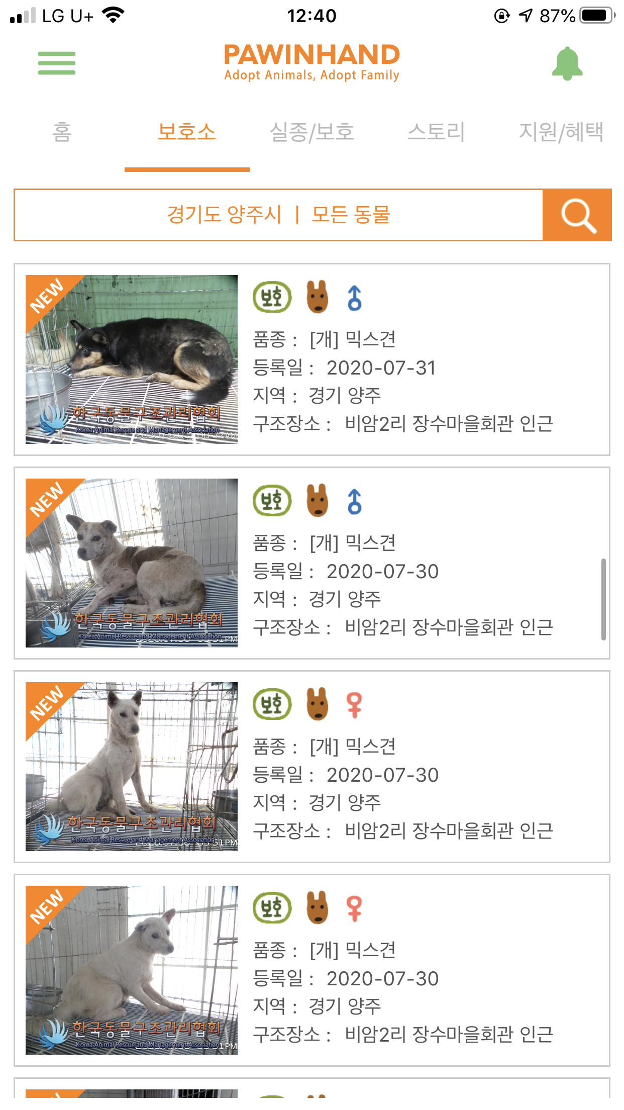 비암2리 장수마을회관 대형견 31마리 동시 유기