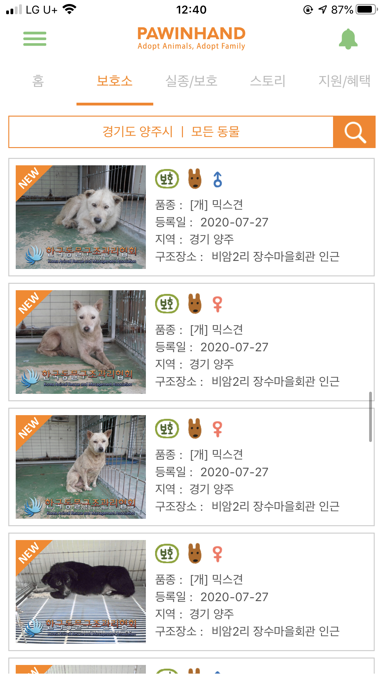 비암2리 장수마을회관 대형견 31마리 동시 유기