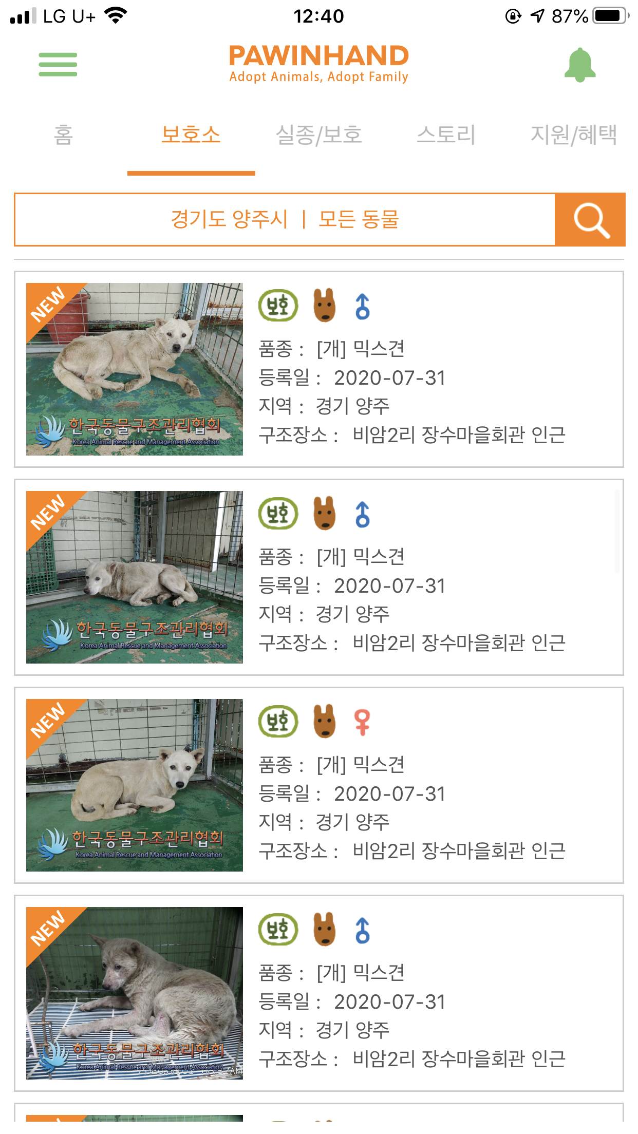비암2리 장수마을회관 대형견 31마리 동시 유기
