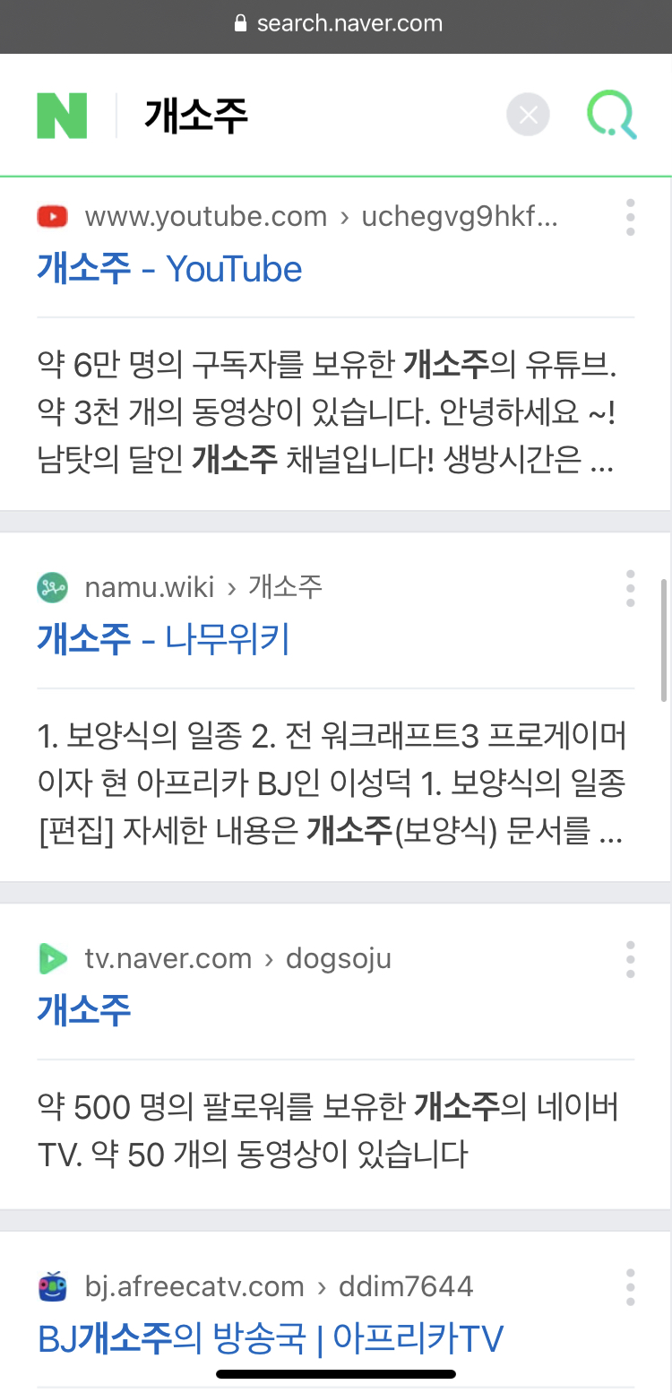 네이버 ‘개소주’ 관련 검색 결과 및 게시물