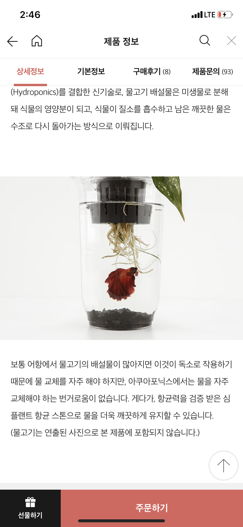 불쌍한 물고기