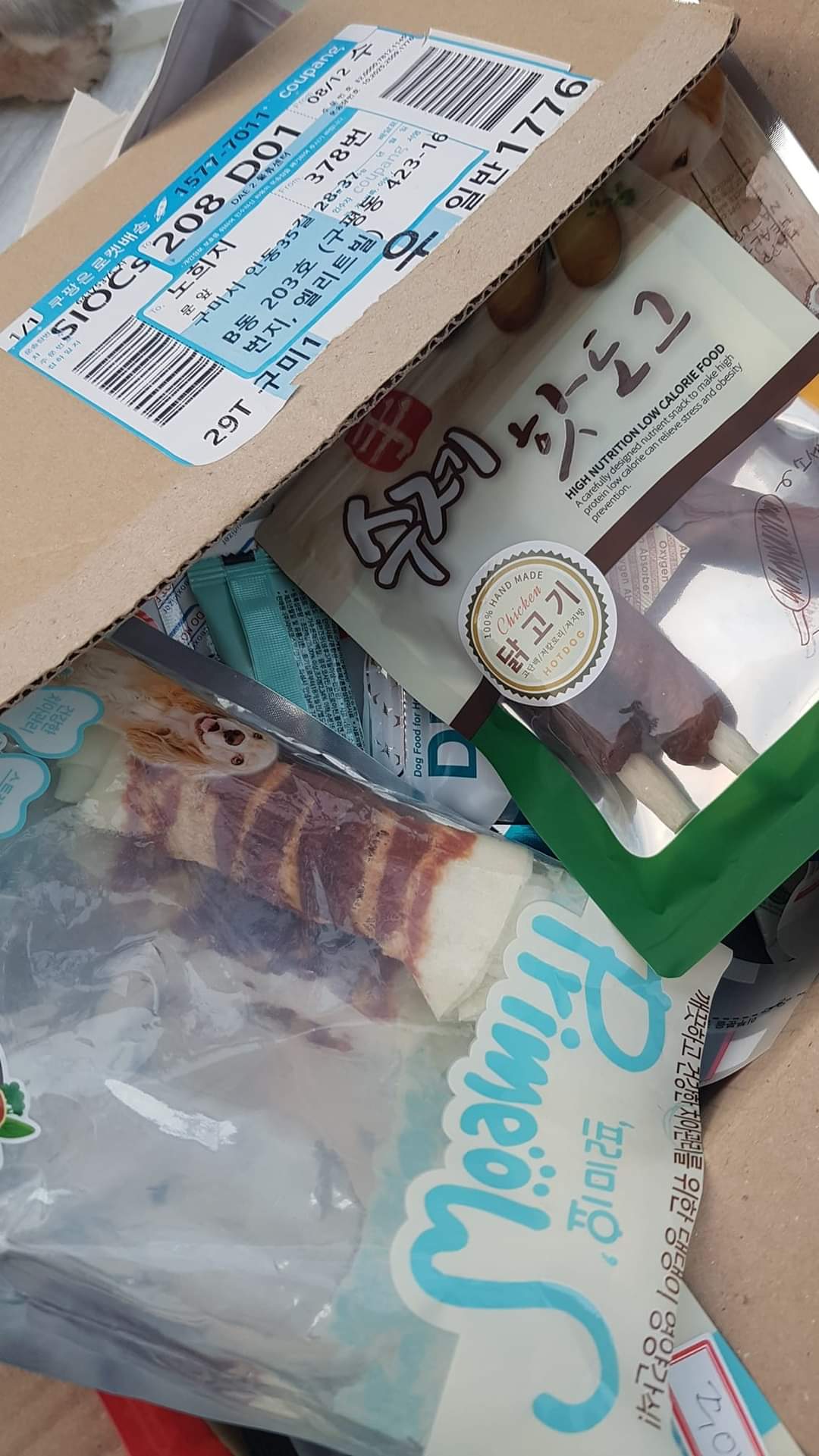 강아지 두마리 유기