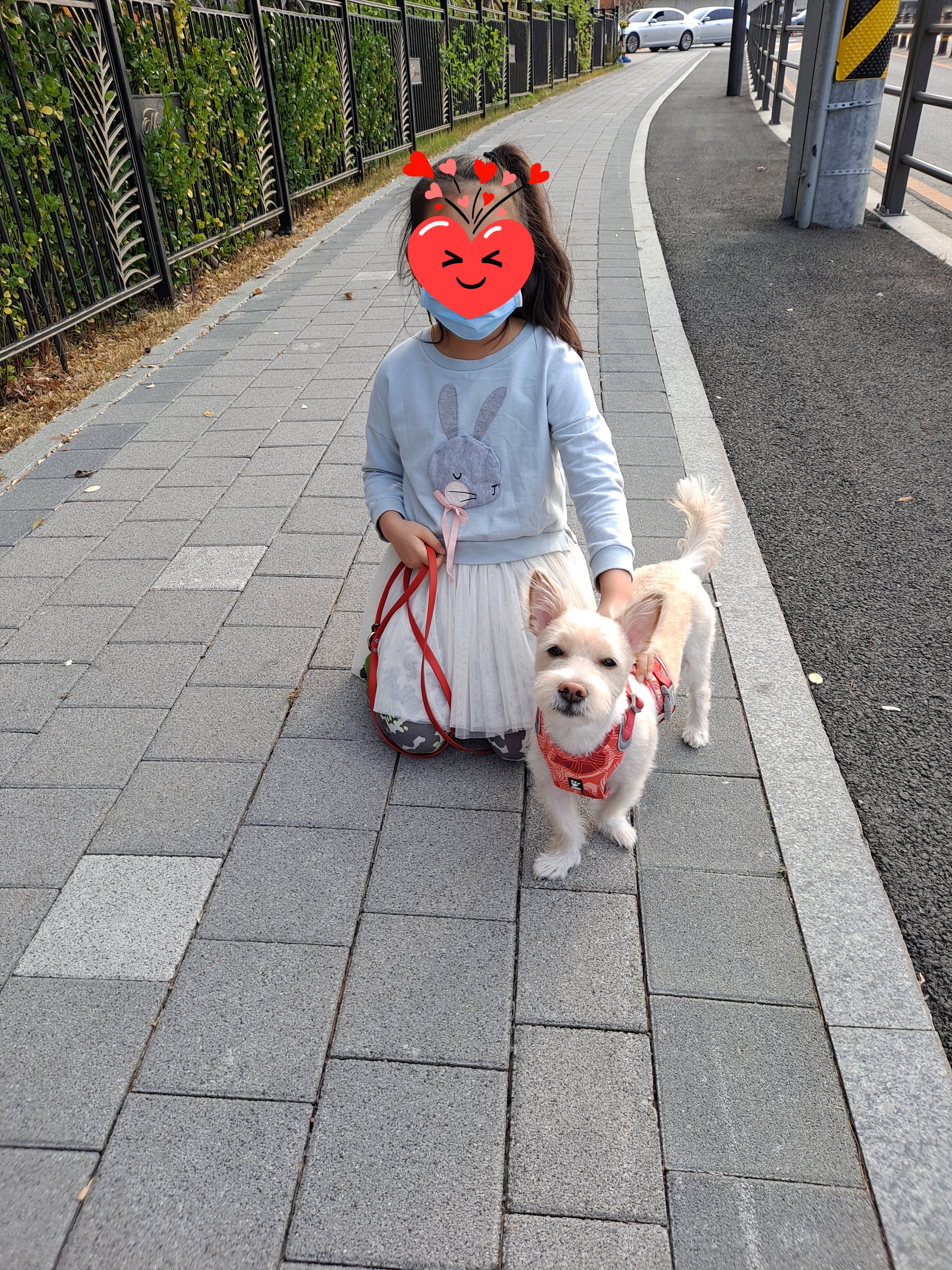 조이(제이) 입양 일주일 후기