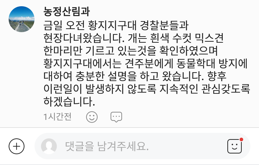 강원도 태백시에서 일어난 동물학대 사건입니다.