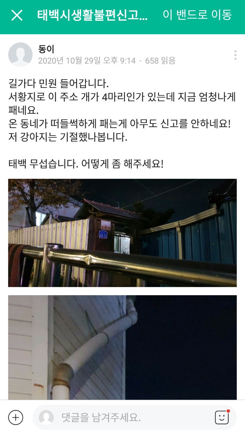 강원도 태백시에서 일어난 동물학대 사건입니다.