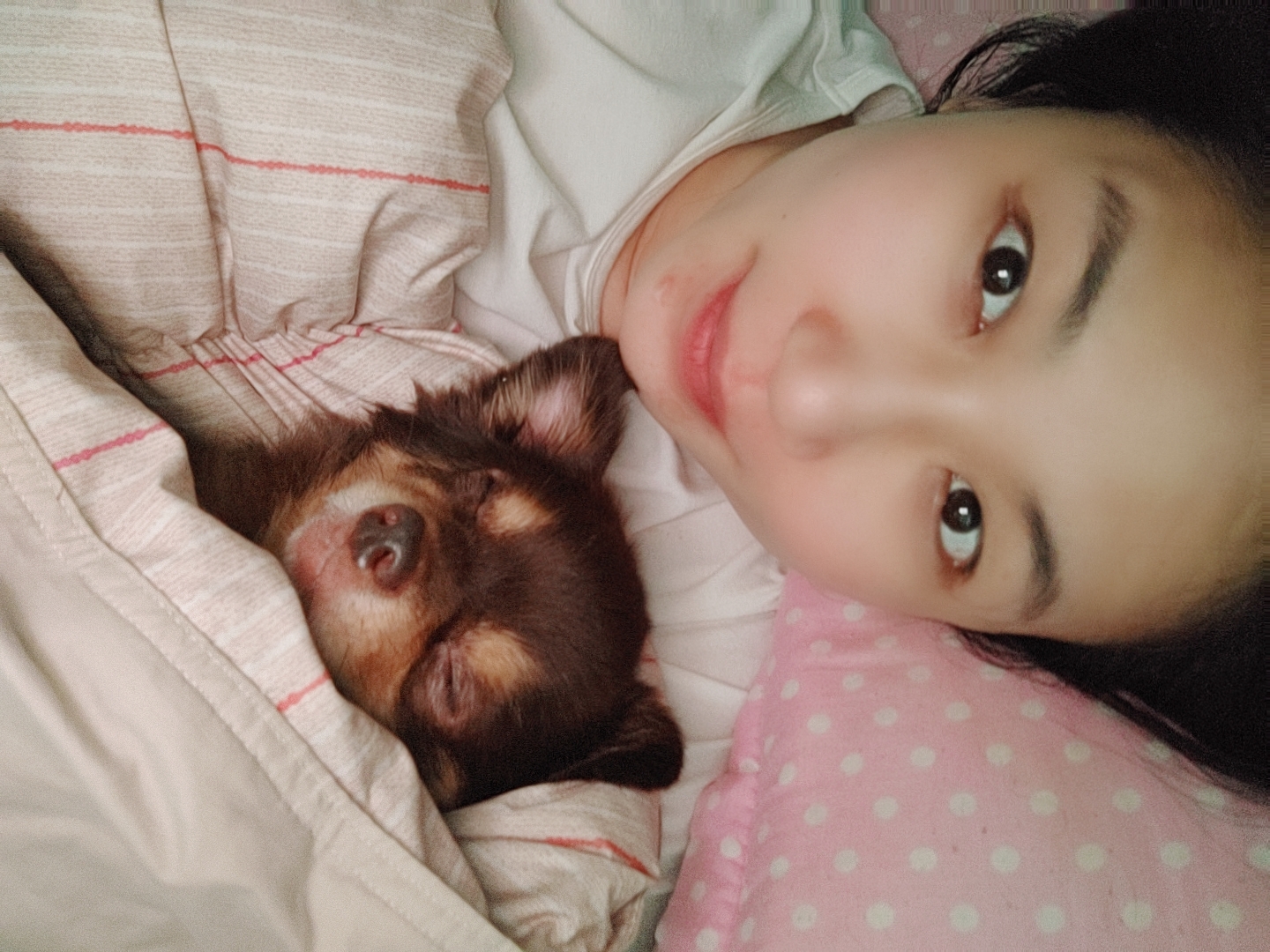 서동구(마빡이) 1년 입양기