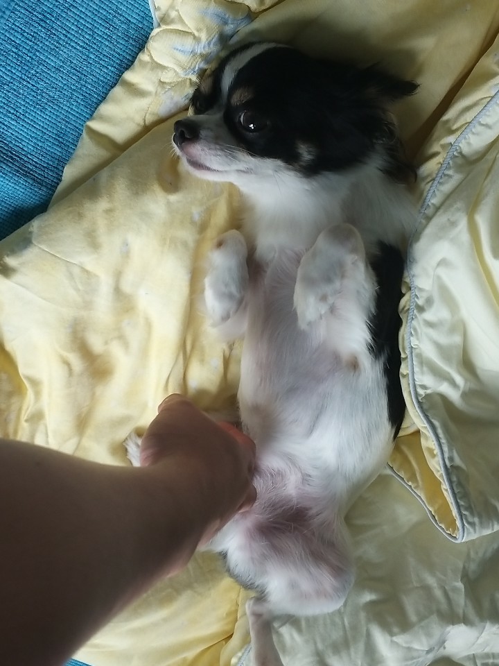 이몬이 오랜만에 인사왔어요^^