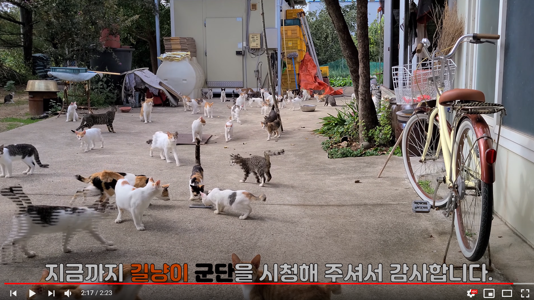 이 영상 확인 좀 부탁드립니다