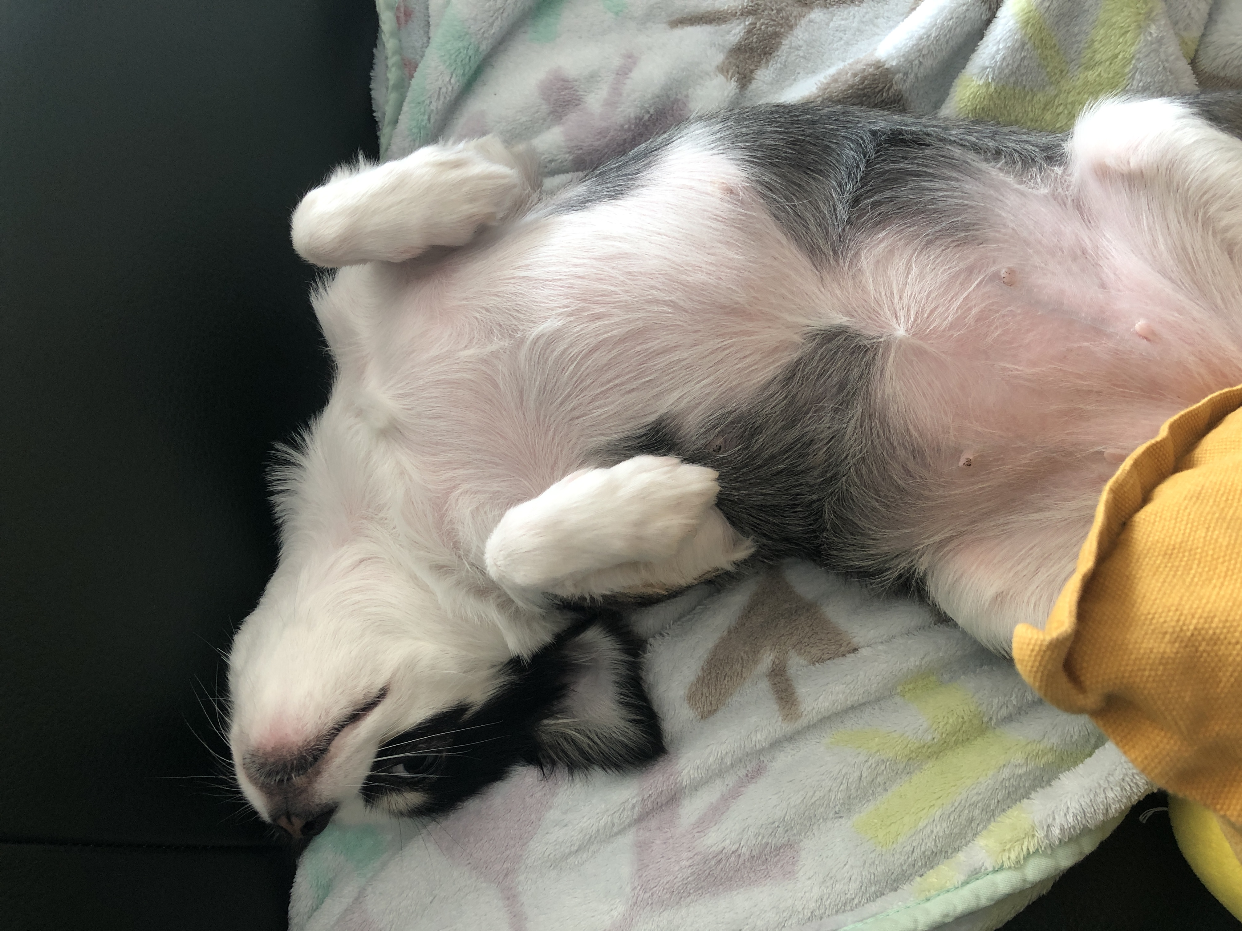 봄(구 태태) 1년후기:)