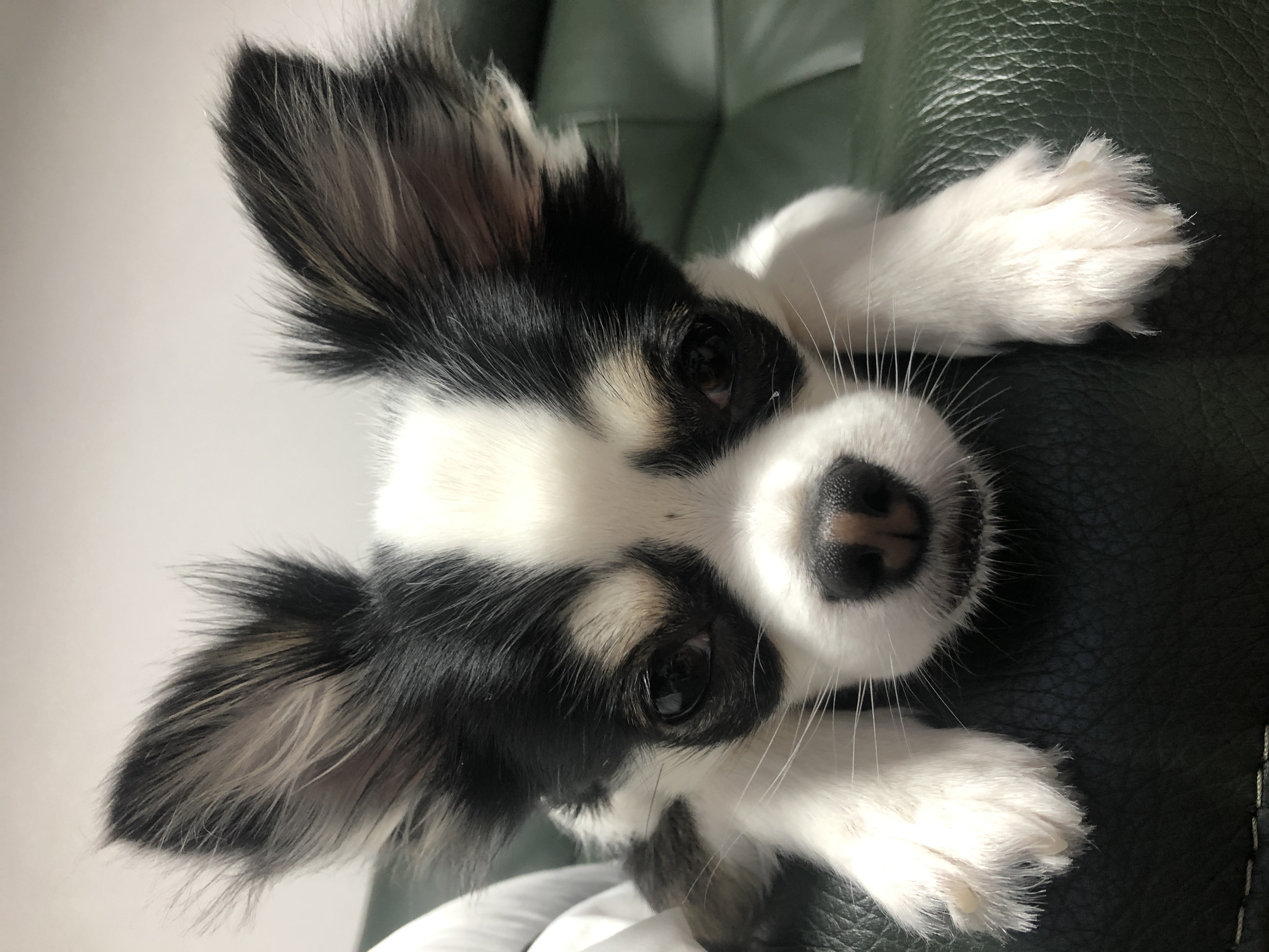봄(구 태태) 1년후기:)