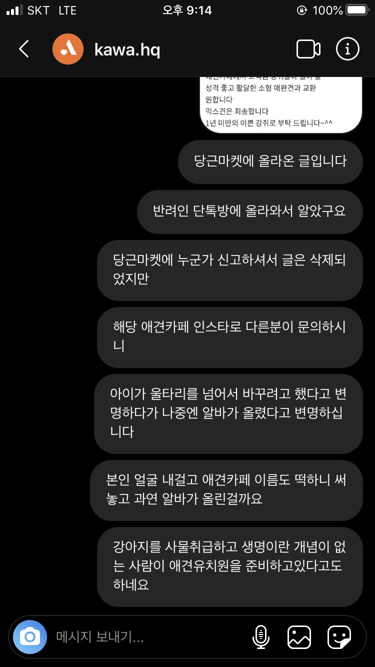 강아지를 물물교환한다는 애견카페사장