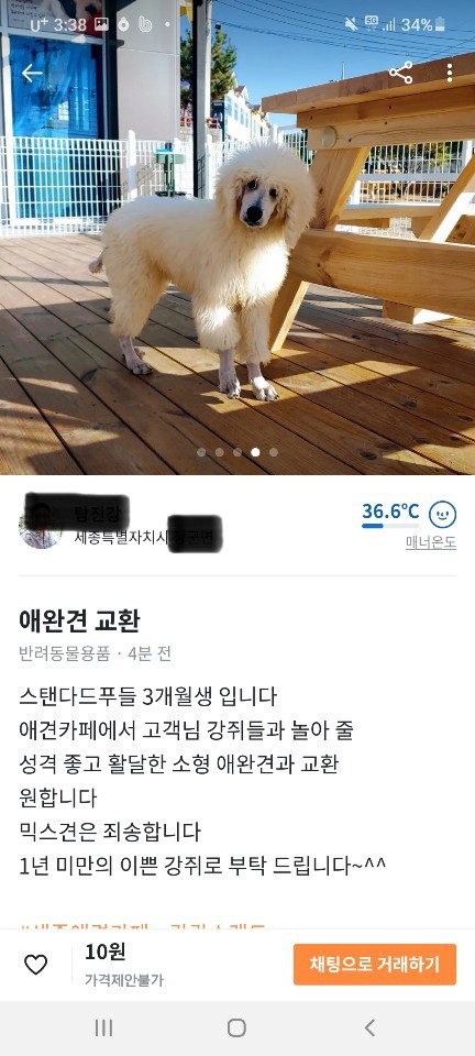 강아지를 물물교환한다는 애견카페사장