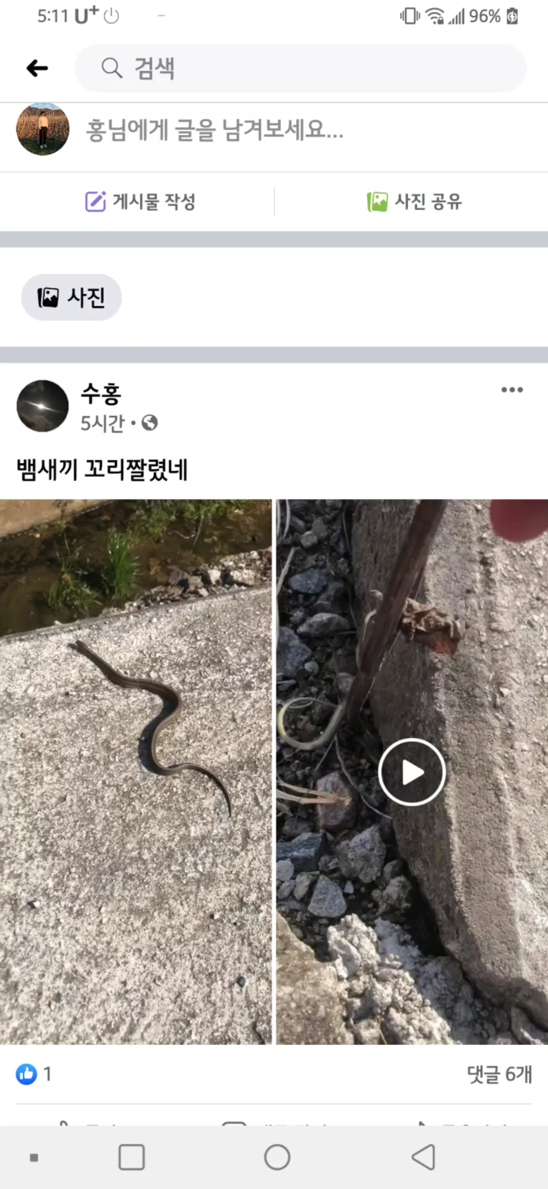 페이스북을 보고있는데 아는 지인이 뱀을 학대하는 영상을 올렸습니다. 이에 신고합니다.