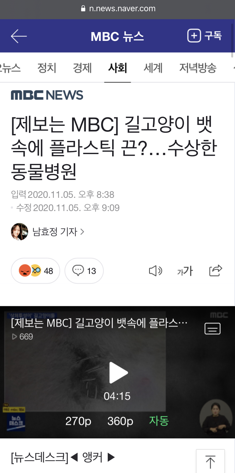 경기도 길고양이 중성화사업 문제