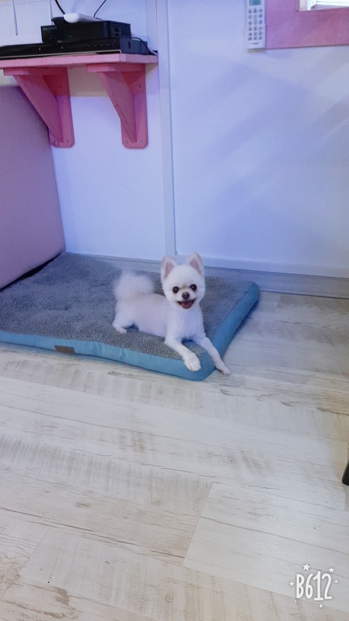 곤지 입양 1년