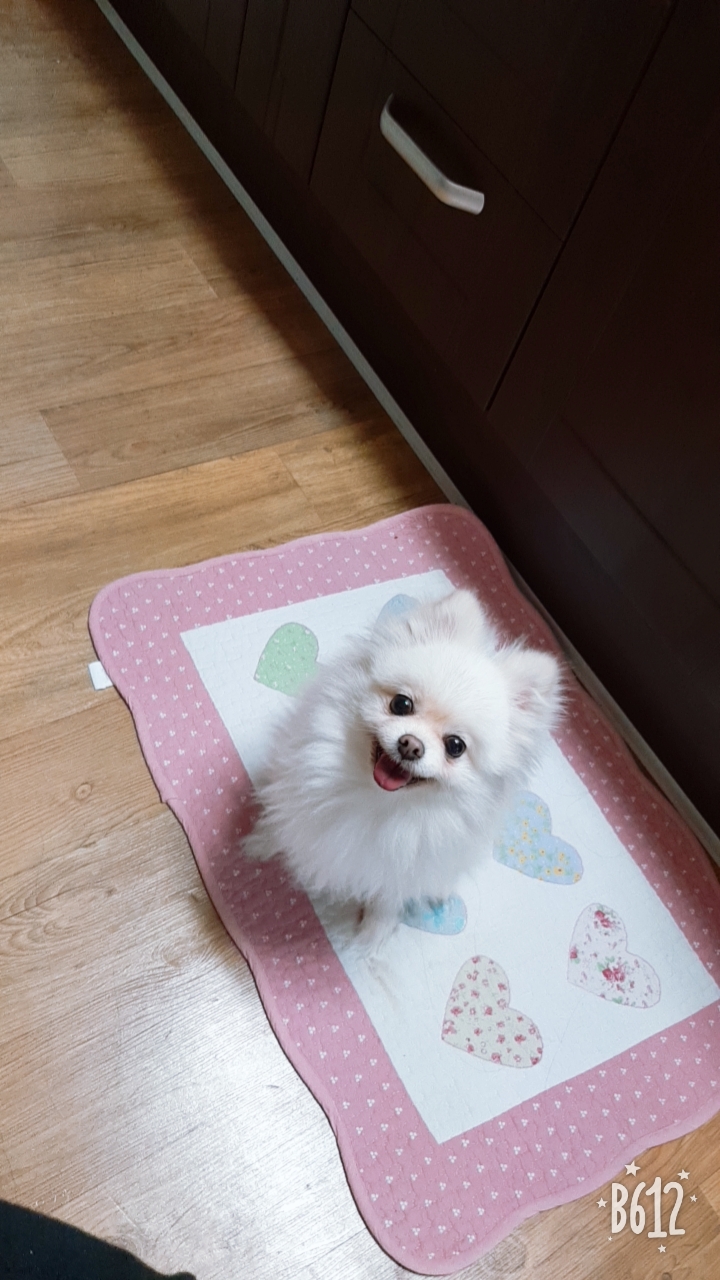 곤지 입양 1년