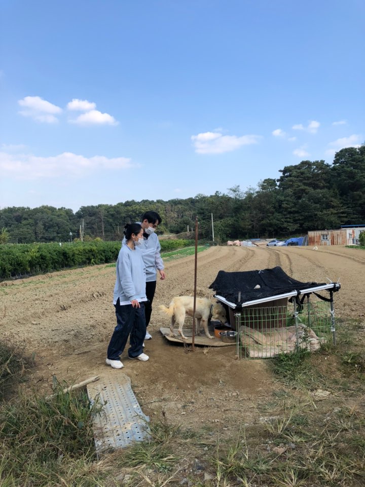 경기도평택시 구조요청드립니다.