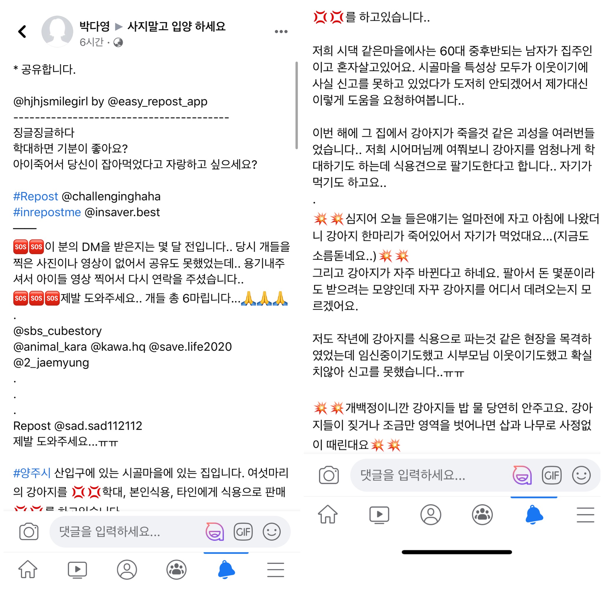 학대/방치/열악한 환경/식용 도와주세요