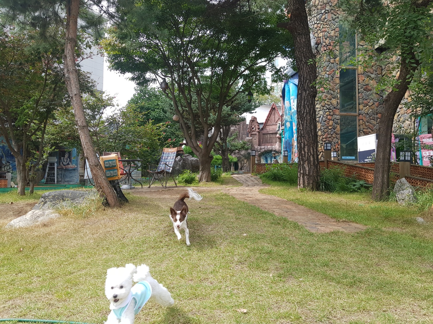 하겐이입니당♥️