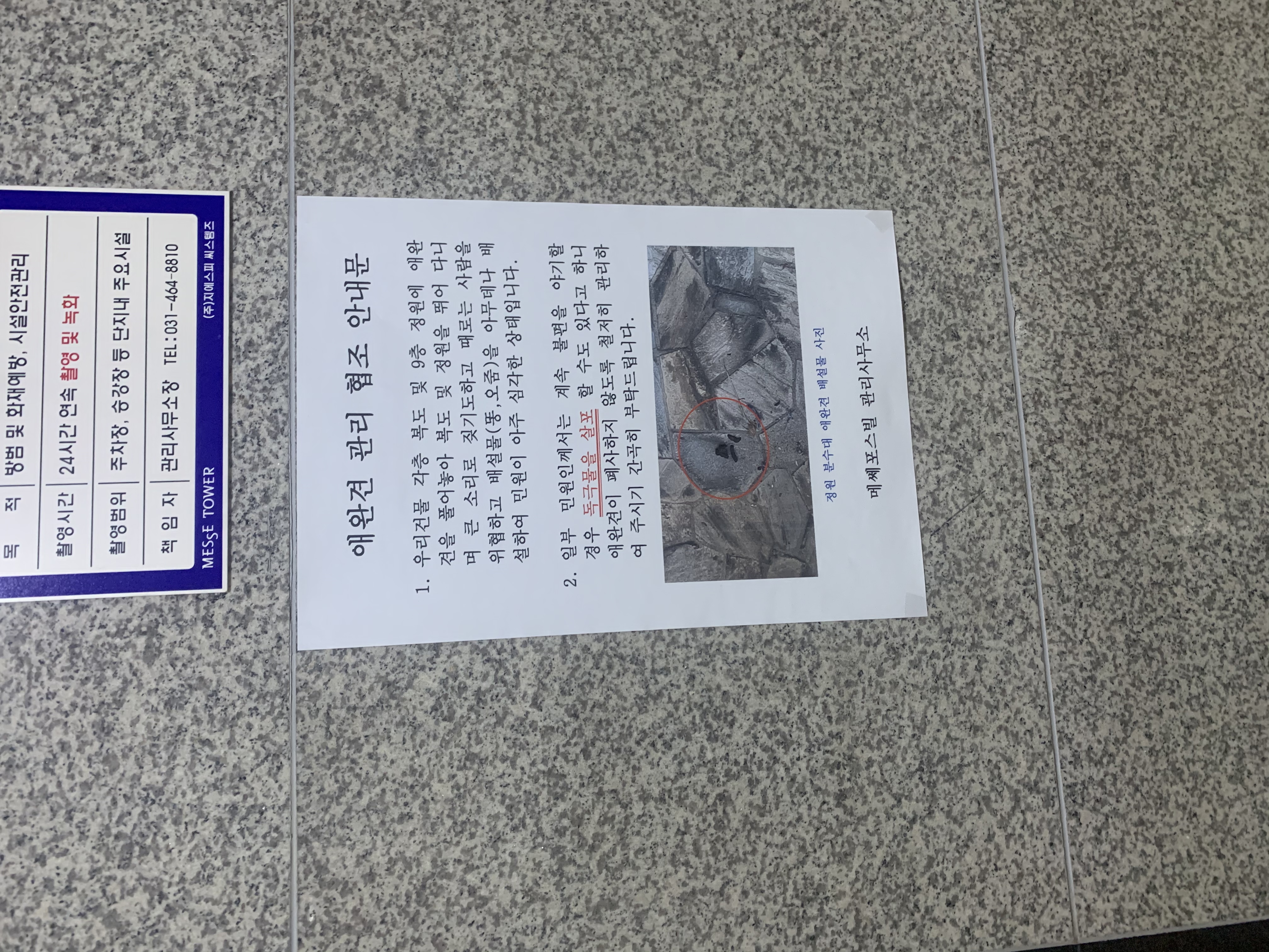 이게 사실인가요?..