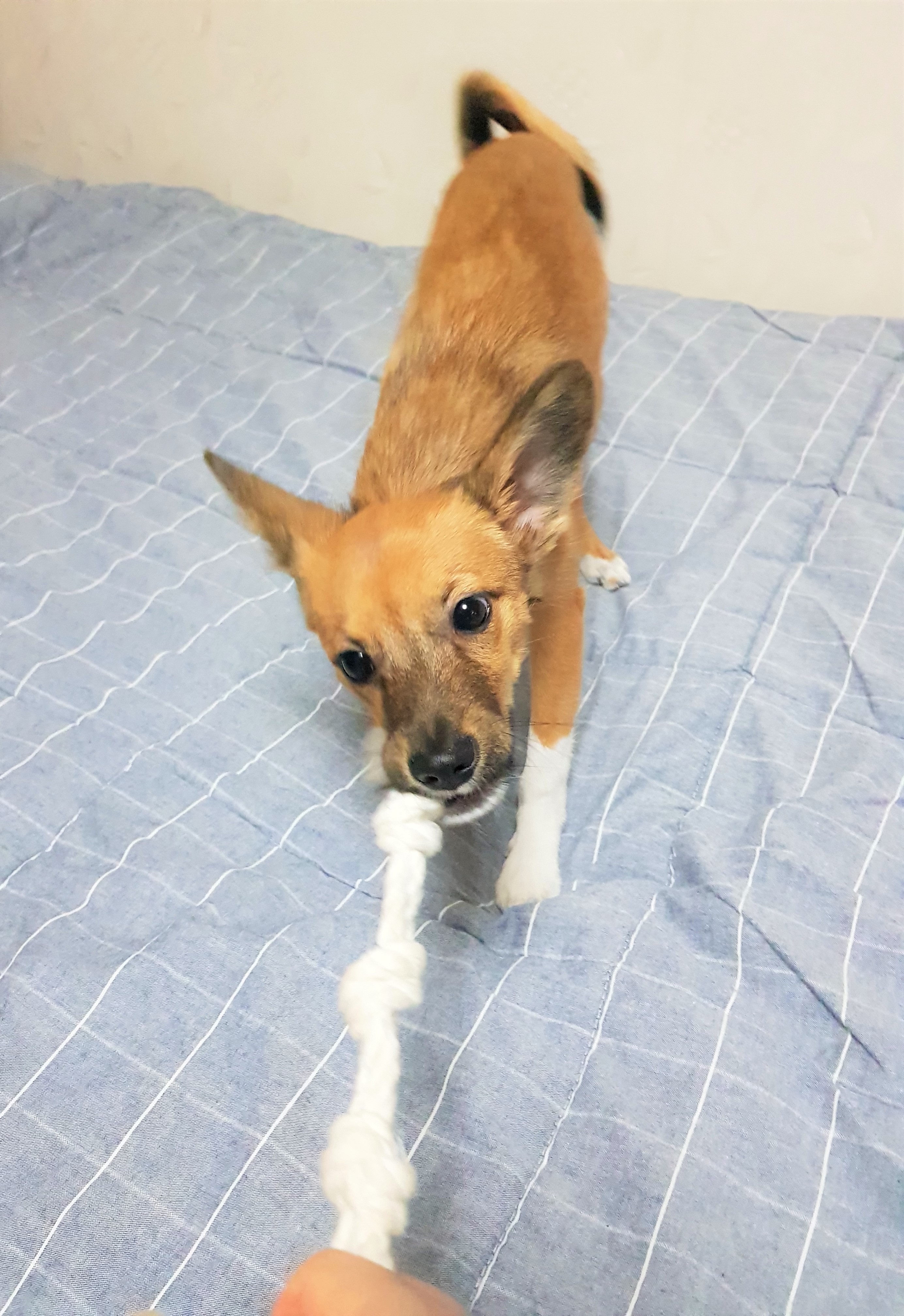 칸의 100일