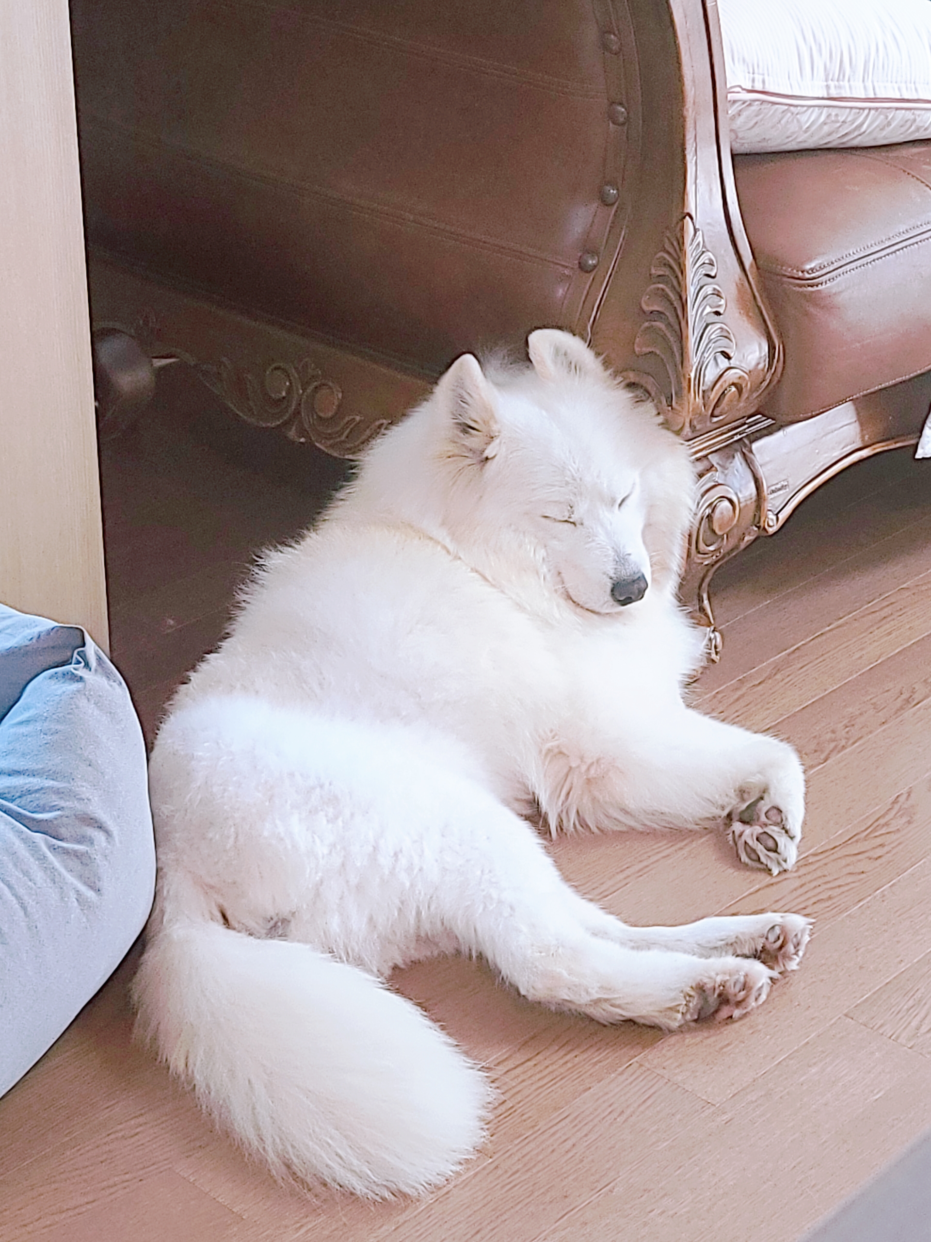 클로이의 일주일♡
