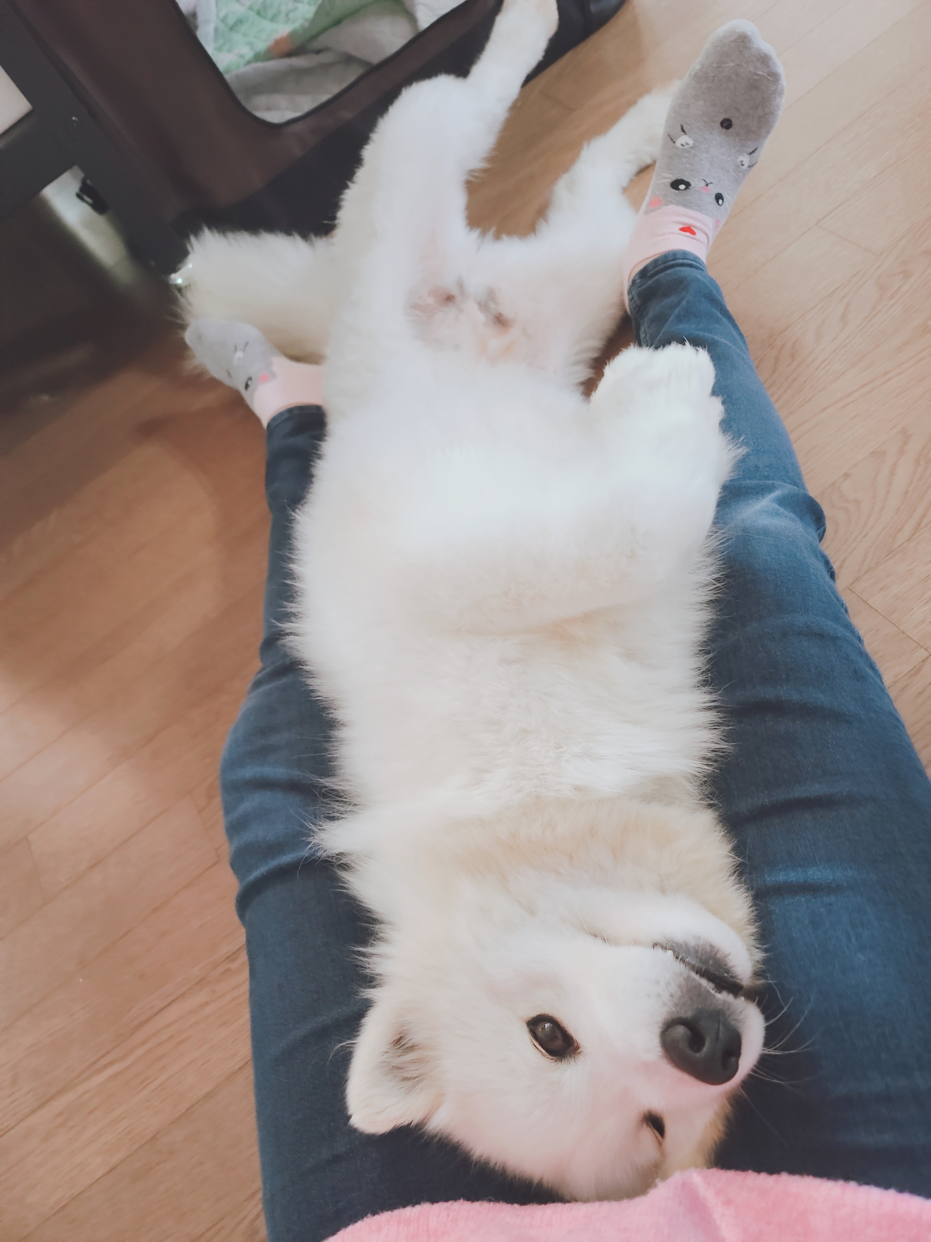 클로이의 일주일♡