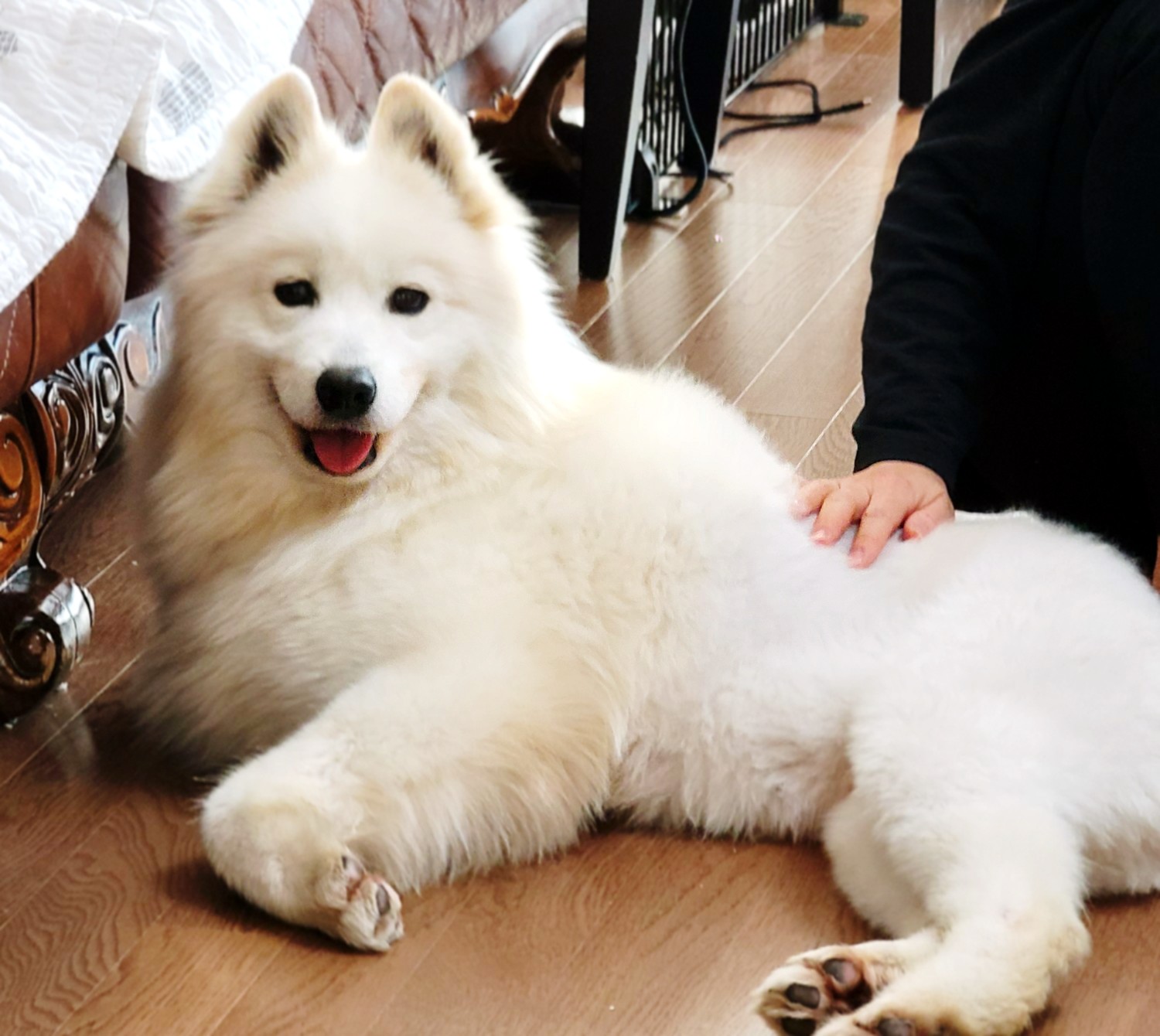 클로이의 일주일♡