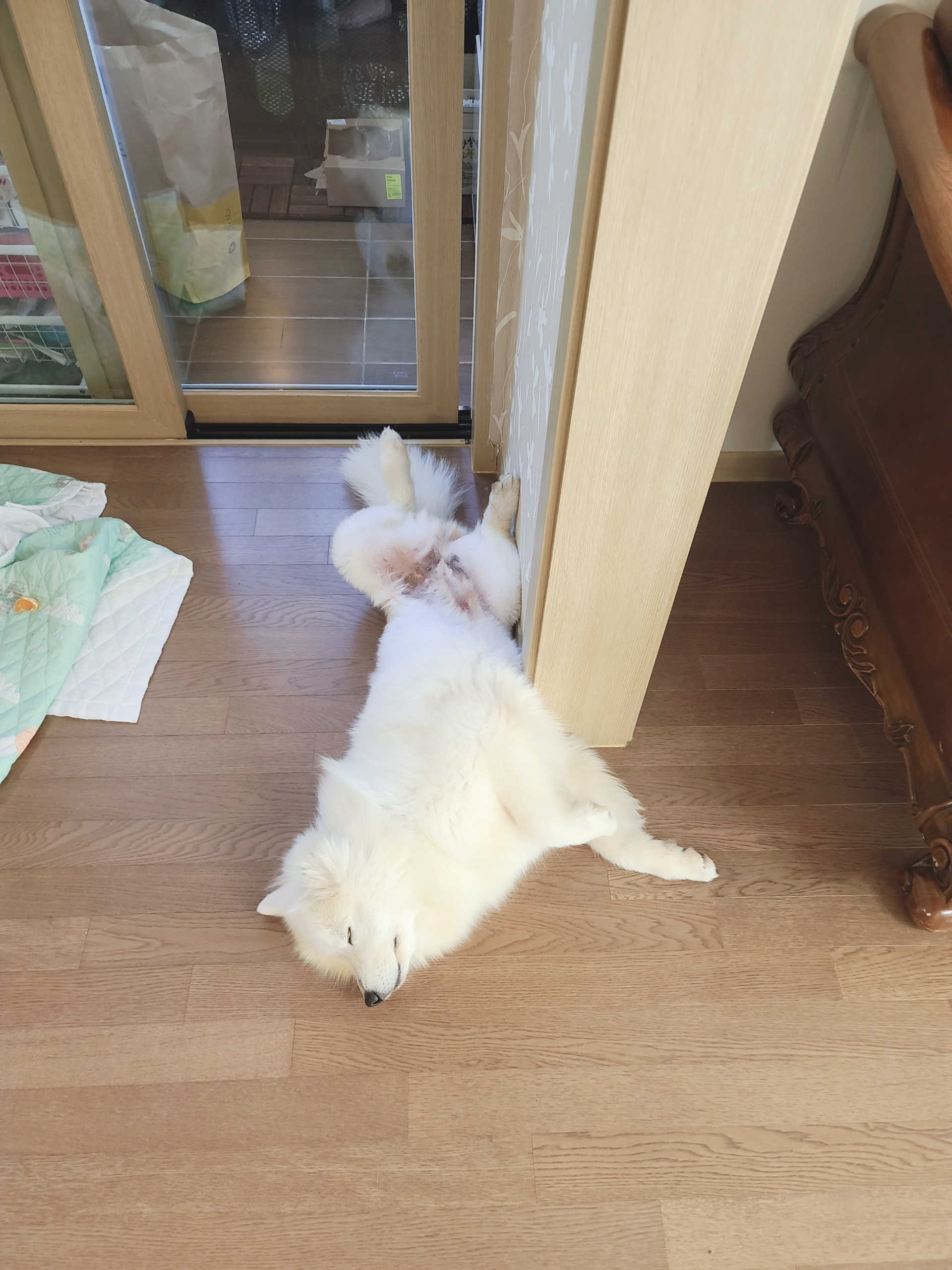 클로이의 일주일♡