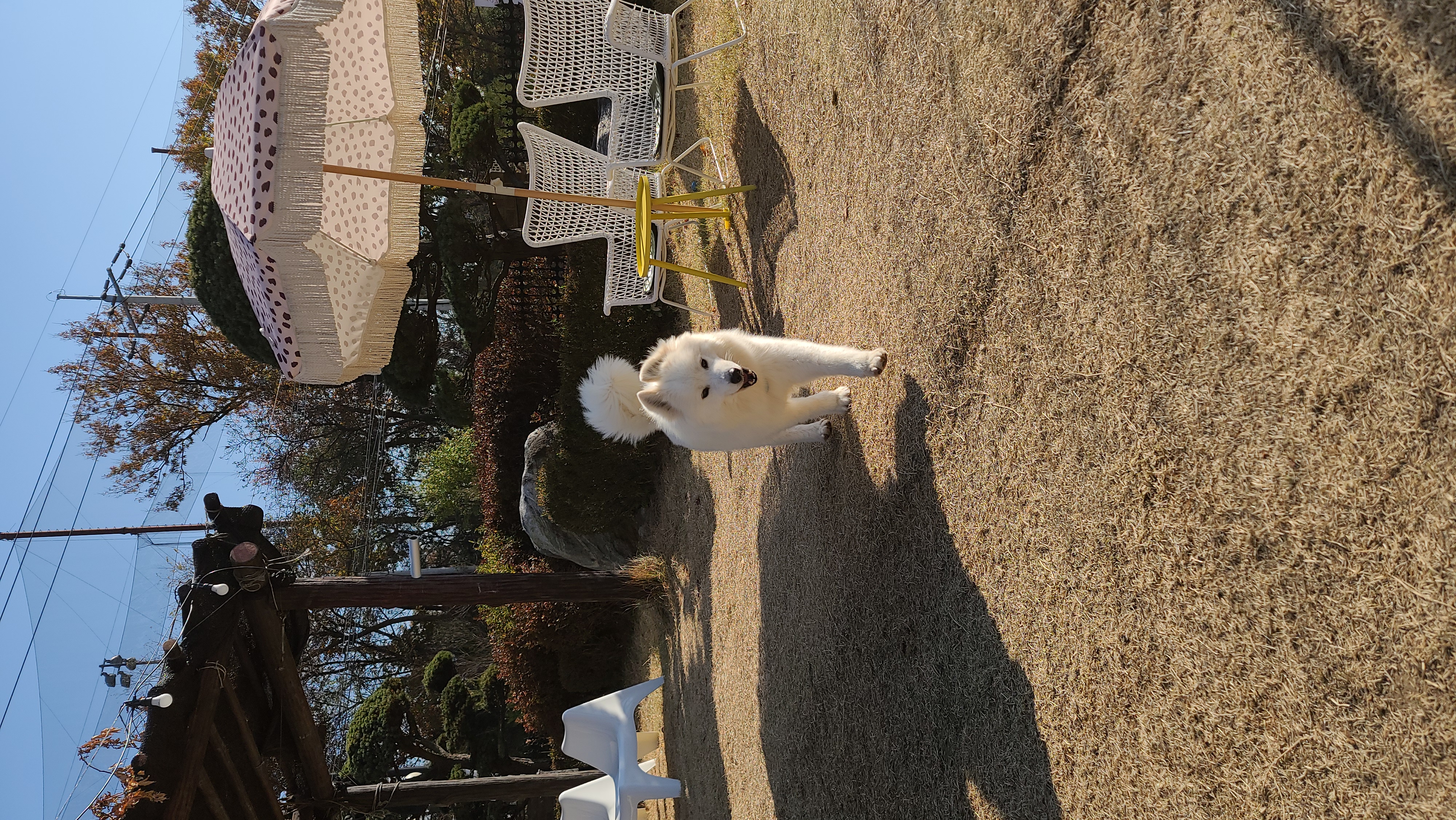 클로이의 일주일♡