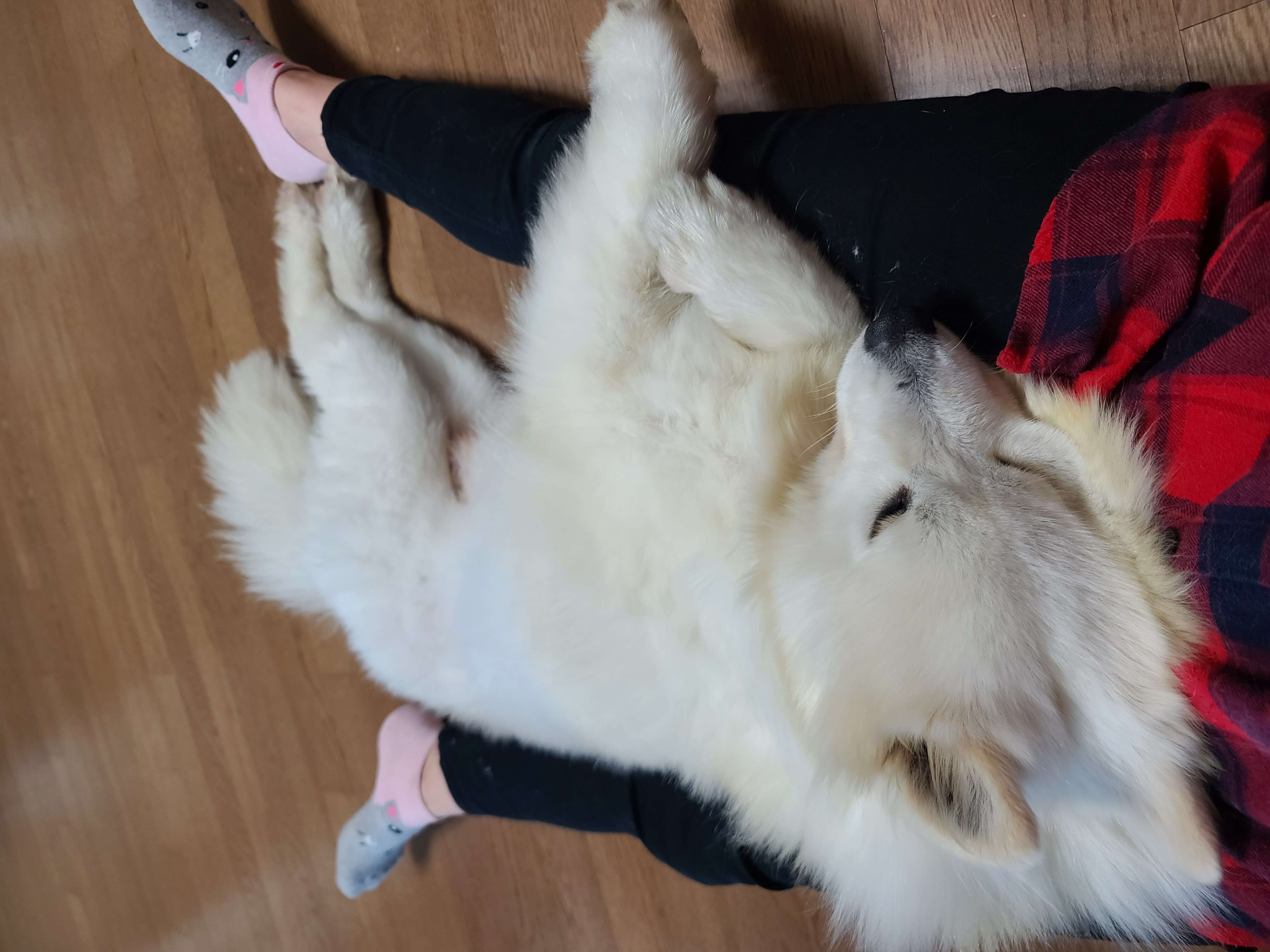 클로이의 일주일♡